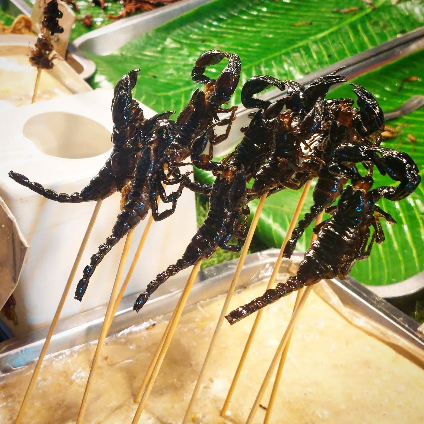 Wir lieben die farbenfrohen und vielseitigen Essensmärkte und - stände, die auf der ganzen Insel überall zu finden sind. Für uns besonders speziell waren die Protein/ Insektenstände, an denen sich die Thais immer wieder gemischte Tüten holten. Interessant auch die traditionelle Methode für "Sticky Rice", bei der Reis im Bambus über glühender Kohle gegart wir - sooo lecker... 🙃👍