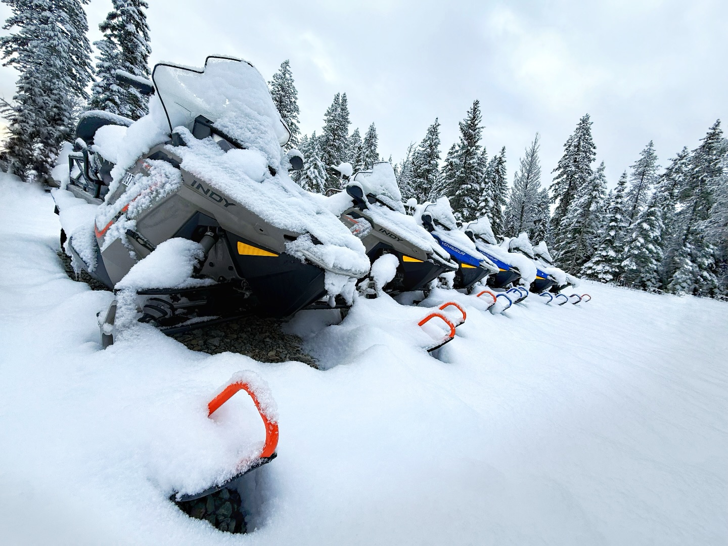 Snowmobile season isn’t over yet! The recent storm brought nearly two feet of fresh fluffy snow throughout the Whitefish Mountain Range and beyond. The entire valley is blanketed in white and we are loving it. With warmer temps on the forecast for next week, we recommend getting it while the getting is good! Book your Snowmobile Tour today - SnowmobileWhitefish.com ❄️
•
•
•
•
•
•
#whitefish #whitefishmontana #explorewhitefish #snowmobile #wintertravel