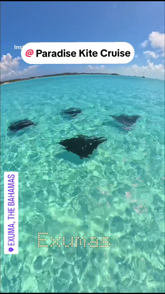 Walderic Wells is blowing my mind.
Turquoise everywhere, protected paradise, and spotted eagle rays cruising by the boat non-stop.
Never gets old watching them glide around.
Bahamas winning today 🔥🐠
#Exumas #EagleRays #BahamasParadise #KiteParadise"