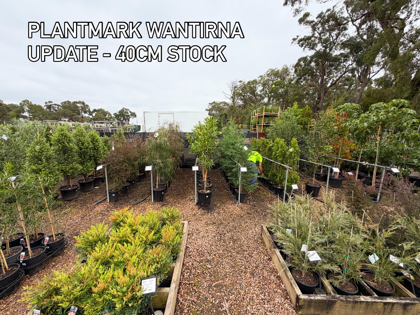 Bundameer recently updated its stand at B7 @plantmark! Come check it out for great size and variety for evergreen hedging and grasses!
#wantirna #advancedtrees #landscaping