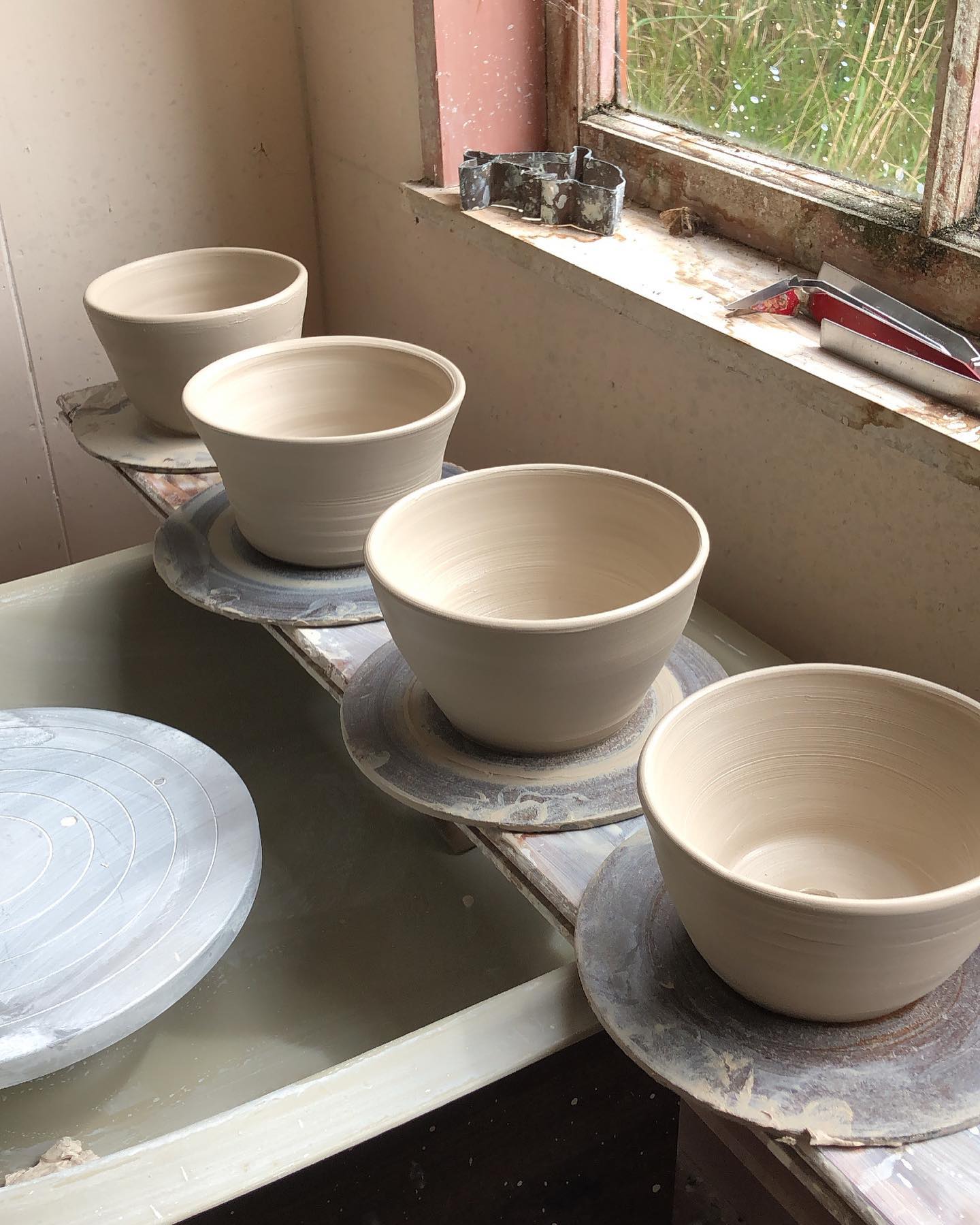 Pots for my ever-growing collection of green girls 🤍🪴