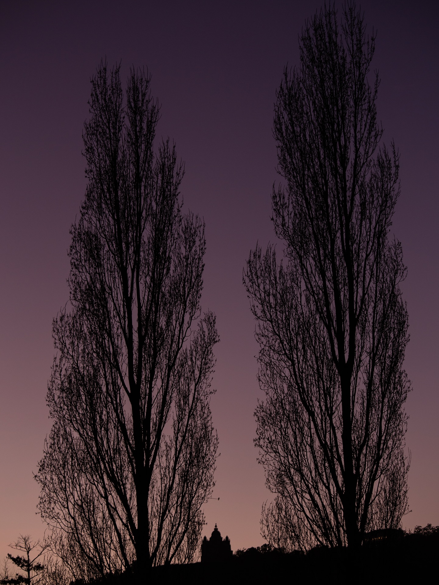 se um dia passares por cá não te demores, ou talvez te enamores.
há dias pediram-me que escrevesse um postal a um desconhecido que nunca tivesse visitado viana.
pedi-lhe cautela, ou talvez não volte para o lugar de onde veio.
hoje estivemos numa exposição de arte gratuita. trouxe estes e muitos outros quadros. vou partilhando.
viana, és linda ✨