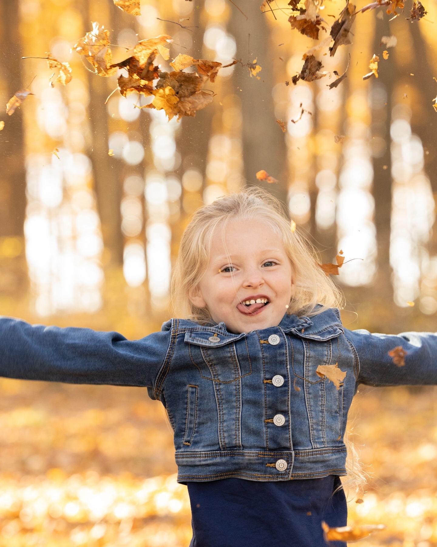 Happy Thanksgiving from Boehlke Media! 🍂 we love capturing special moments with your families! Have a great day with your loved ones ☺️🦃
#family #familyphotos #milwaukeefamilyphotographer