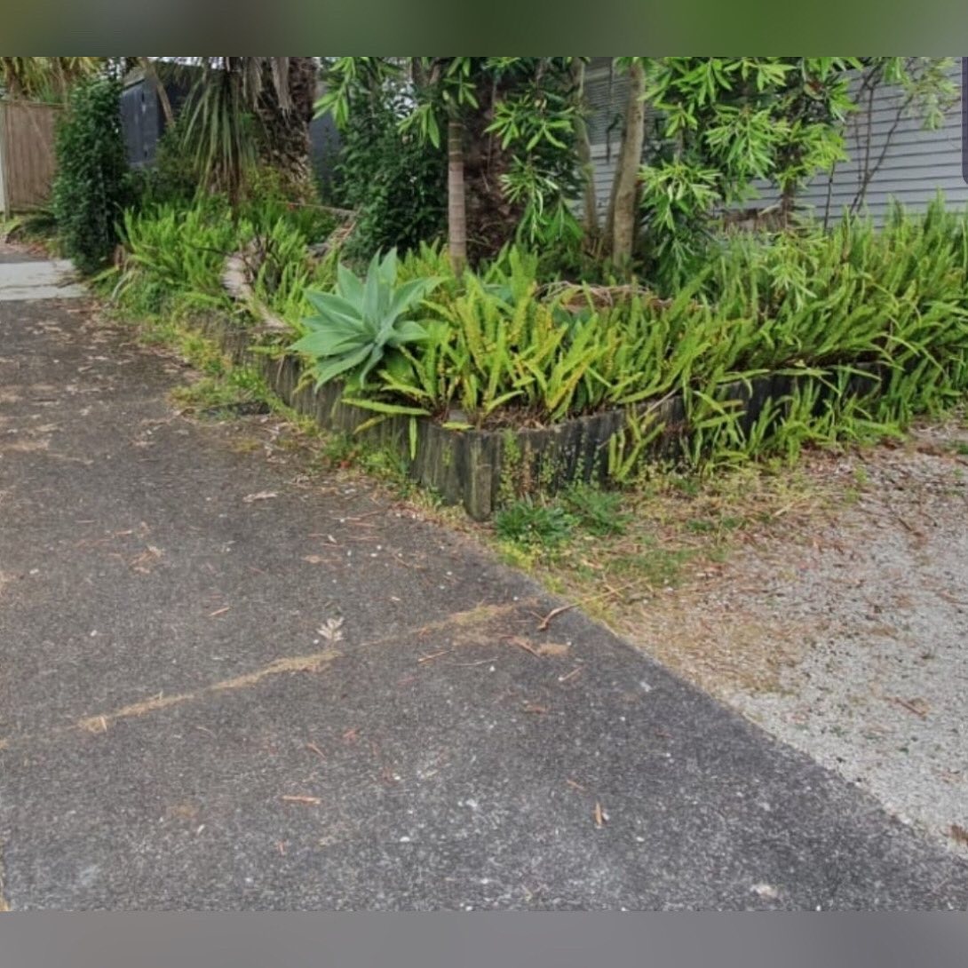 Our most recent overhaul (section clearing) and green waste removal. Contact us today for a free quote 😊