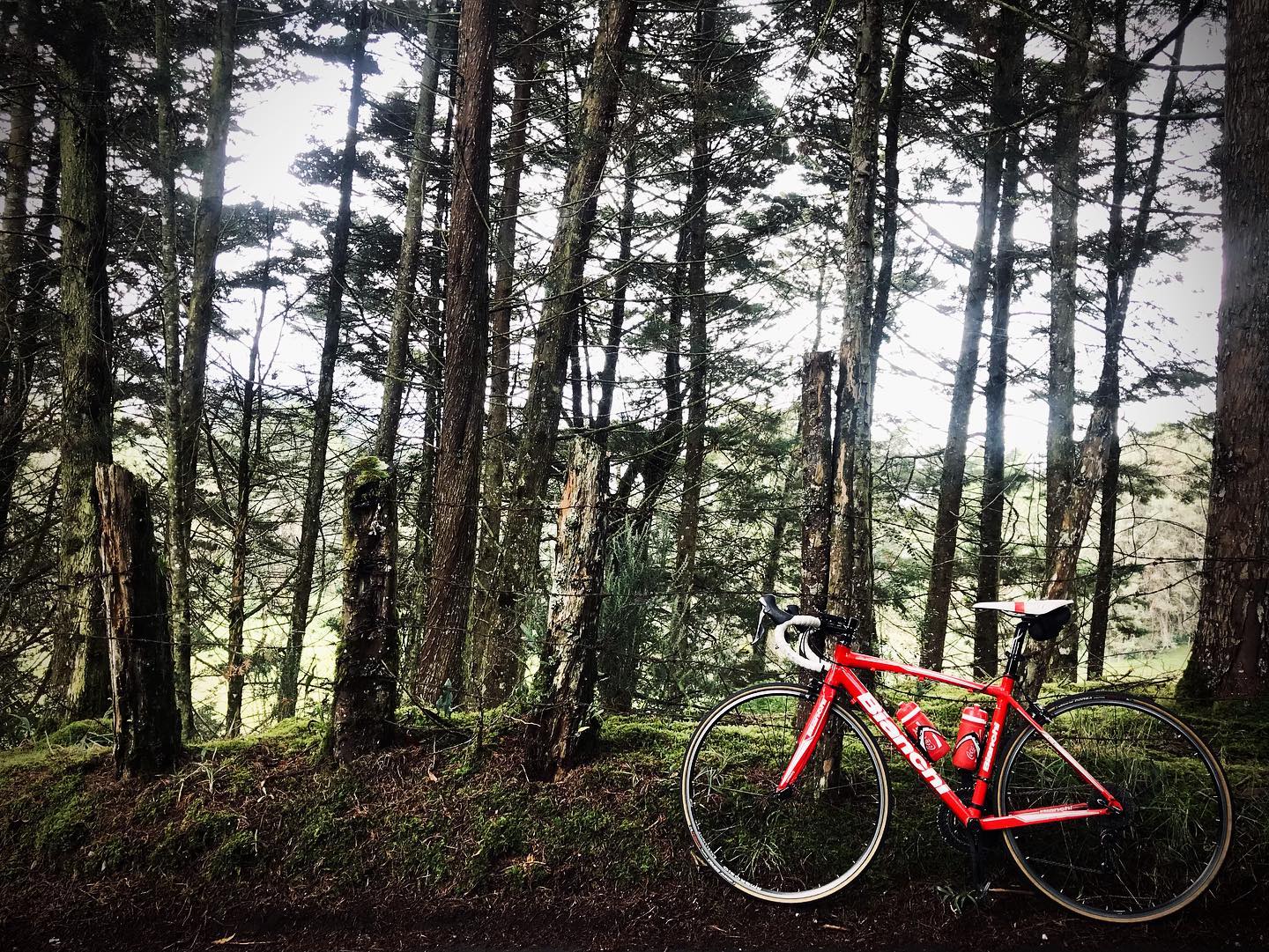 Kind of Europe feel about this Colombian road. ⛰🚲🌴🔆
•
•
•
•
•
#cyclingculture #insearchofup #cyclingmemories #roadcyclingpics #ridelots #lifebehindbars #roadporn #whyiride #roadslikethese #cyclingporn #fromwhereiride #beautyofcycling #cyclingphotography #whereiride #outsideisfree #wymtm #switchbacks #instaroads #mountainpass #fromwhereweride #cyclingadventures #roadcyclist #cyclingshots #roadstotravel #mountainphotography #roadstoride #natgeotravels #cyclingtour #cyclingholidays #cyclingaddict