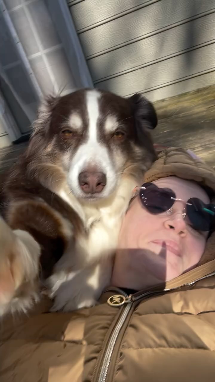 There’s no love like puppy love 💕 #puppy #happy #love