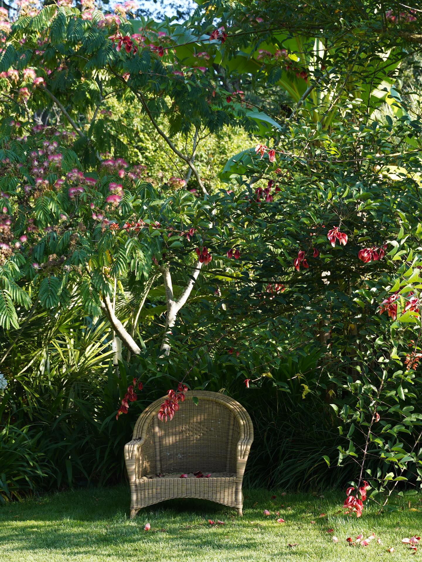 Dans chaque jardin petit ou grand la disposition d’objets choisis avec soin rend l’espace plus intime plus proche
🌱un fauteuil est une invitation un appel à l’observation à la quiétude
🌱une statue au jardin est une présence que l’on aime retrouver et qui semble vous attendre à chacune de vos promenades
🌴les objets parsemés dans un jardin sont comme dans un intérieur la touche artistique raffinée que l’on a choisie
🌸ils semblent là depuis toujours, accordés au lieu, s’harmonisant à l’ambiance du jardin
🌱ici déesse et chien de fo gardent oparoa un des 3 jardins exotiques
Jardin des barthes classé remarquable 15mn de la côte landaise 30mn de la côte basque
Ouverture le 25 avril à 14h30
#jardin #tropicalparadise #garden #gardening #gardeninspirations