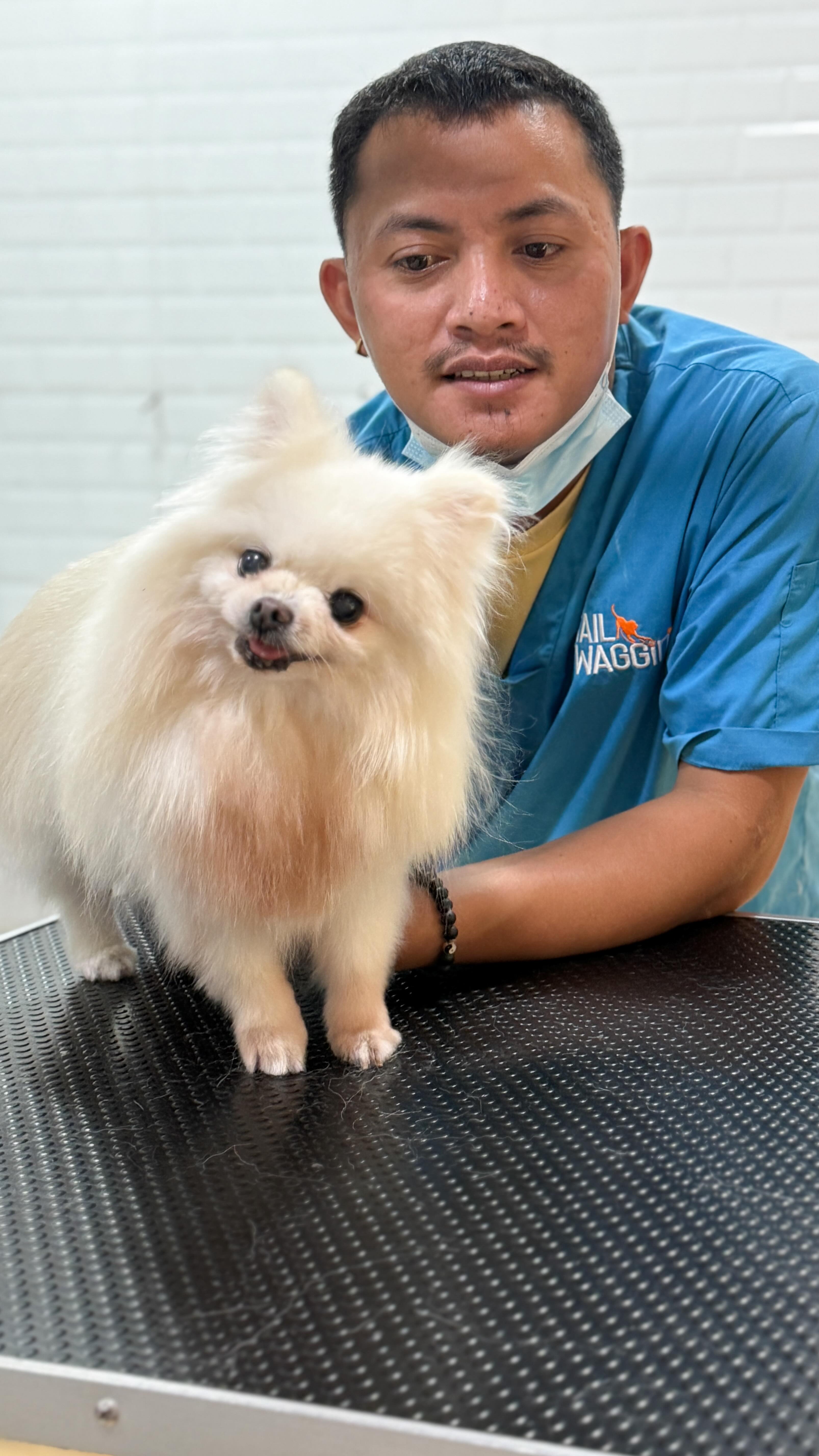 AI may take many jobs, but it cannot replace hands that turn nervous tails into wagging ones. 🧡🙌🏼 #tailwaggin #petgrooming #dogsindubai