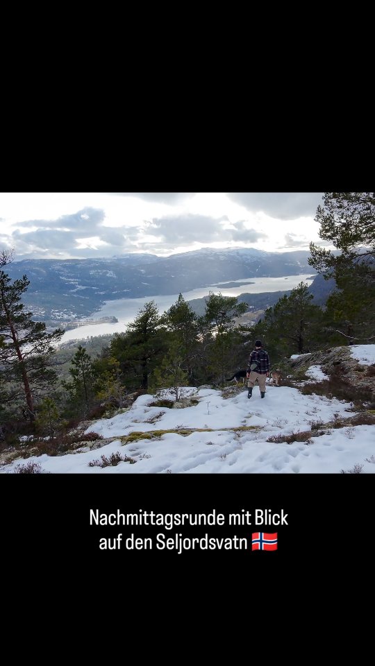 #telemark #hikingwithdogs #dogadventure #adventuredog #wandernmithund