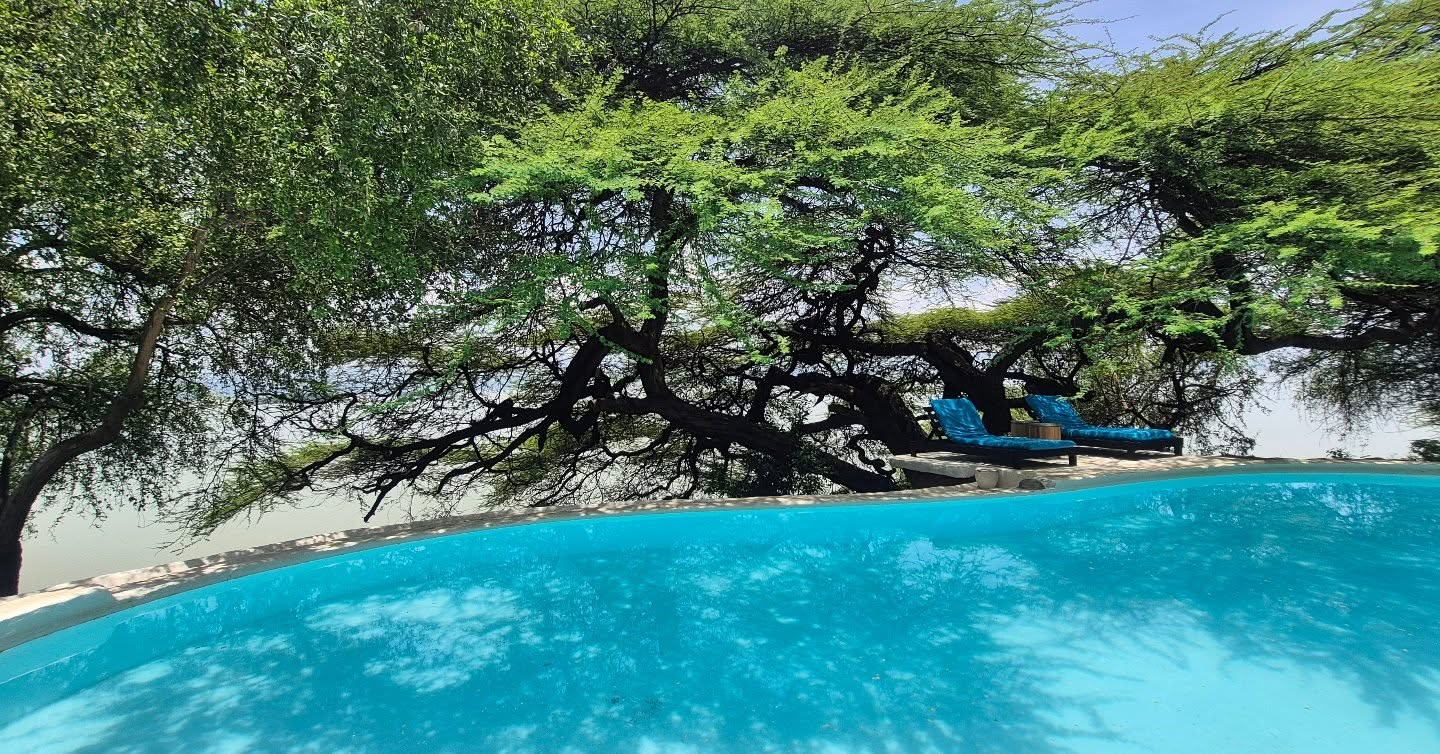 Feeling groovey #teddybearbaringo #teddybearislandcamp #magicalkenya #airbnb #amazingplaces