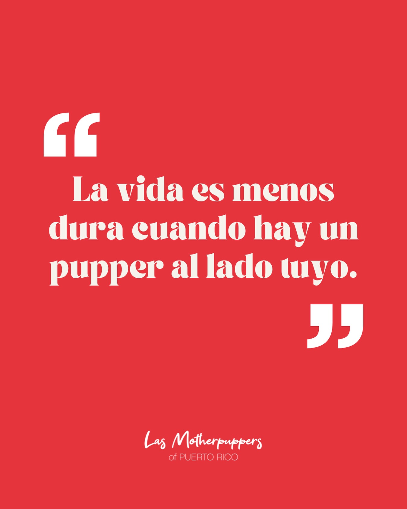 “La vida es menos dura cuando hay un pupper a tu lado”… y la ciencia lo respalda. 🐾🧡
Diversos estudios han demostrado que convivir con un perro puede mejorar tanto la salud emocional como física de las personas:
• Reducen el estrés y la ansiedad al bajar los niveles de cortisol
• Aumentan la producción de oxitocina, la hormona del bienestar
• Nos motivan a movernos más (walks diarios = más actividad física)
• Pueden ayudar a disminuir la presión arterial y mejorar la salud cardiovascular
• Y algo que muchas dog moms ya sabemos… combaten la soledad porque siempre hay alguien feliz de verte llegar a casa
No es casualidad que muchas personas digan que sus perros les cambiaron la vida.
Su compañía, amor incondicional y esas caminatas que nos obligan a salir de casa pueden hacer los días difíciles un poquito más llevaderos.
Y si eres dog mom, seguro lo entiendes perfectamente.
🌐 www.dogmomsofpr.com
#dogmomsofpr #dogmomclub #dogmomblog #doglove #dogsofpuertorico