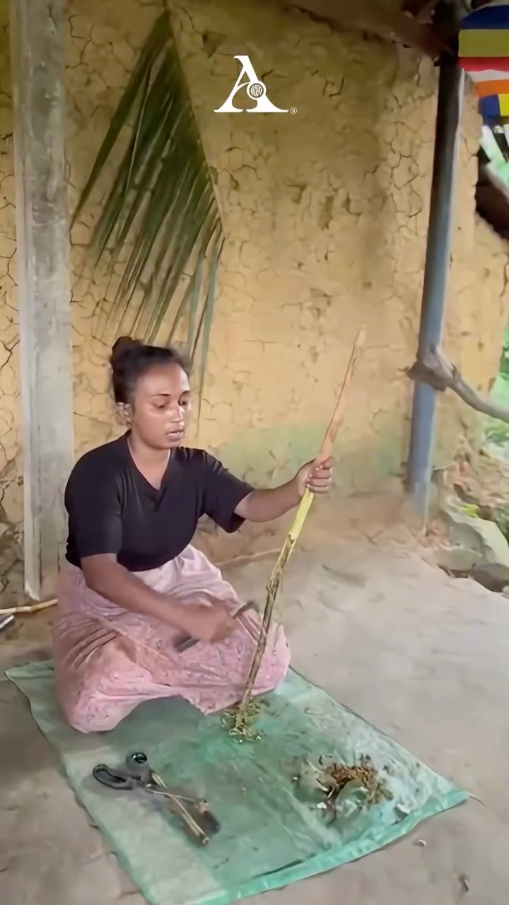 You’ve sprinkled it on your coffee. You’ve smelled it in a candle.
But have you ever seen where it actually comes from? This is a cinnamon village.
From bark to brew, here are some highlights of the whole process. And yes, that cup of cinnamon tea at the end? We can confirm it hits different when you’ve just watched it being made.
#SriLanka #CinnamonSriLanka #AceDiaries #AceTravelSriLanka #TravelExperience