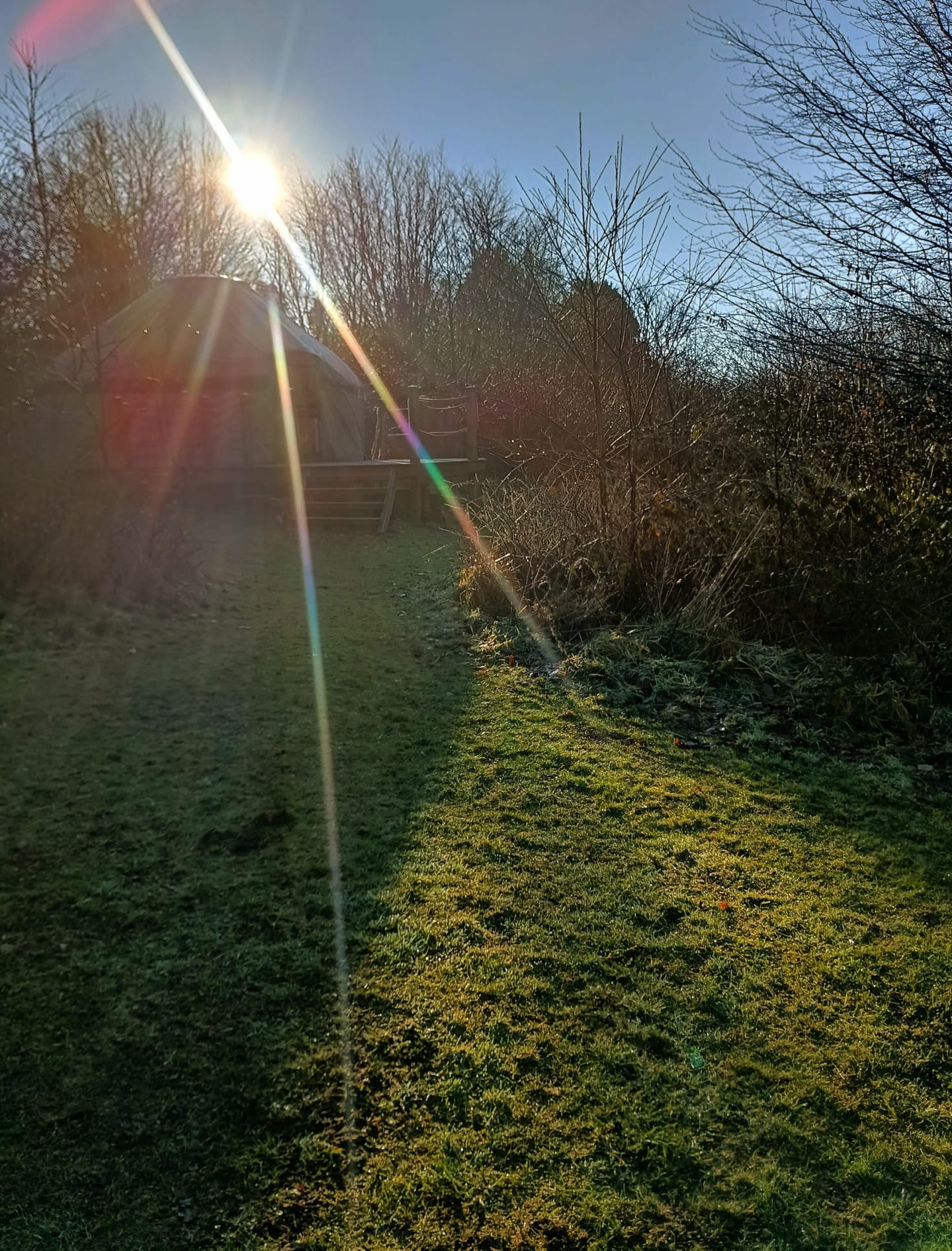 Spring is on its way :)