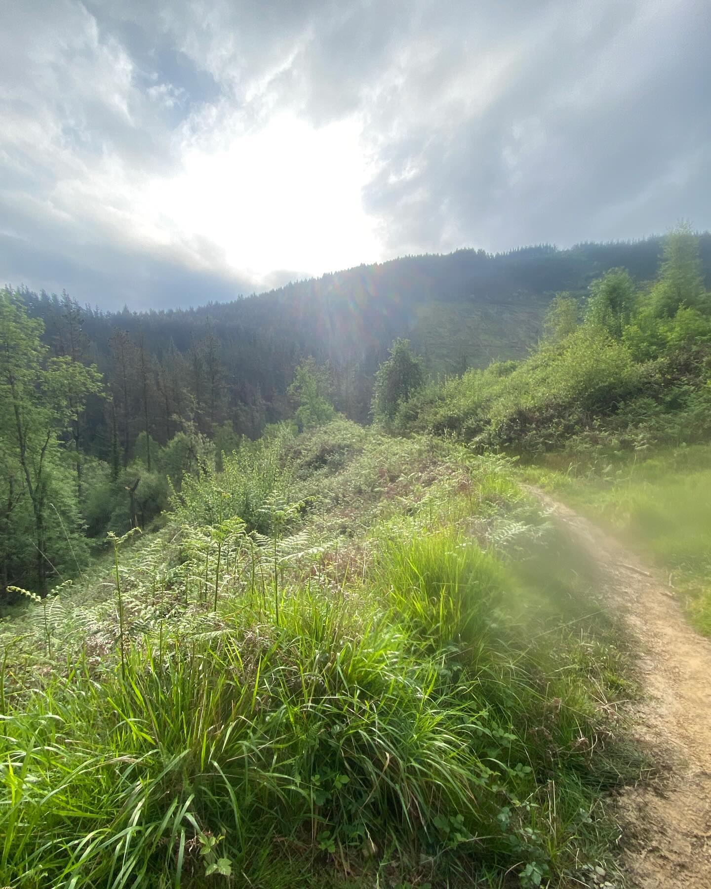 Day 6 Pozueta to Bilbao 26km