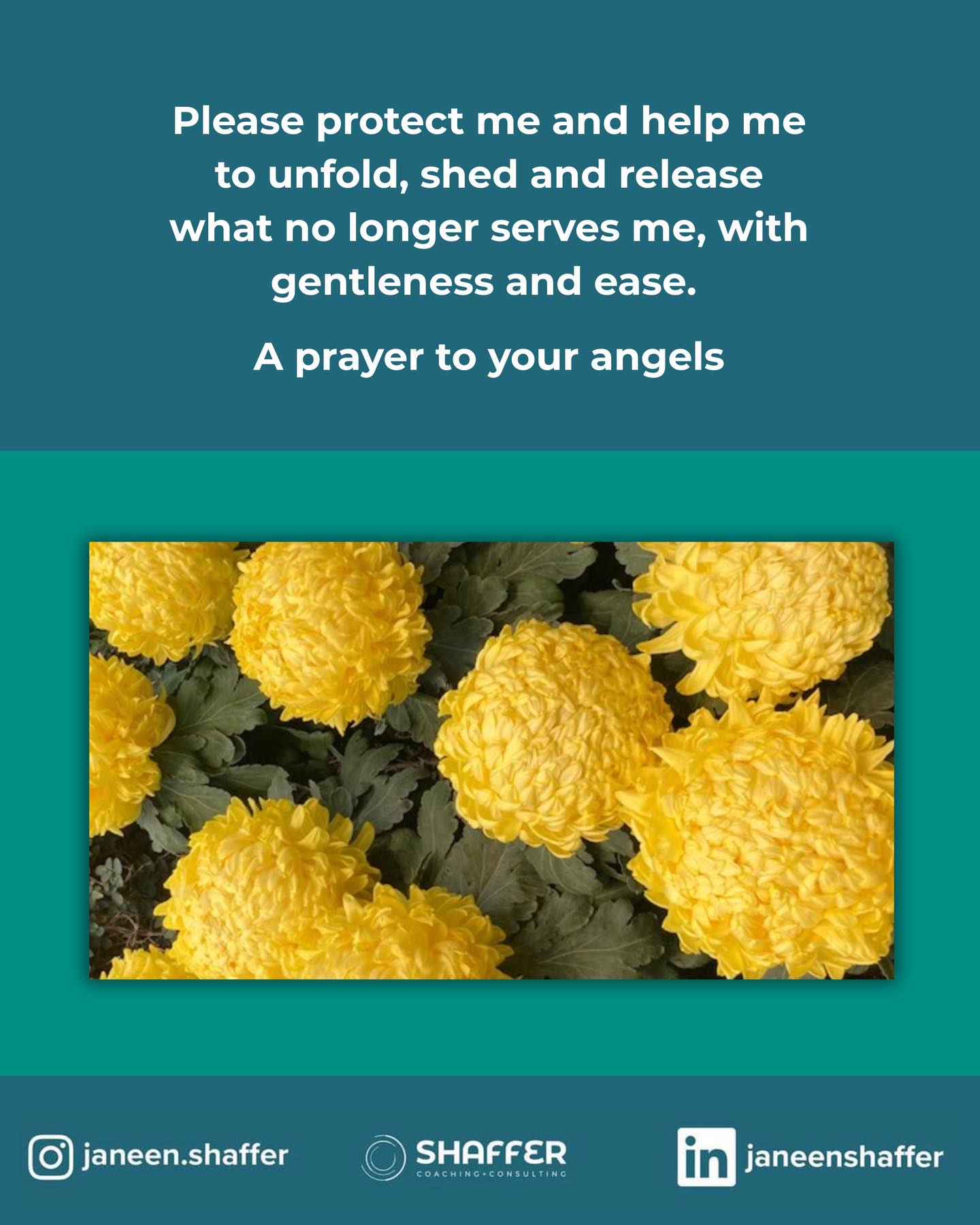 Invite gentle guidance and support as you let go of what no longer serves you. The fact that you can ask for this prayer is a sign that you are ready to create a different way, a different path for yourself. This isn’t about perfection or being better - this prayer comes from the intention that you wish to transform and grow in ways that you desire and seek. You are inviting the Universe to help you with this so that your mind, body, and soul can experience more of this life. Have a good week!
#healing #newbeginning #perseverance #transformation #rebirth