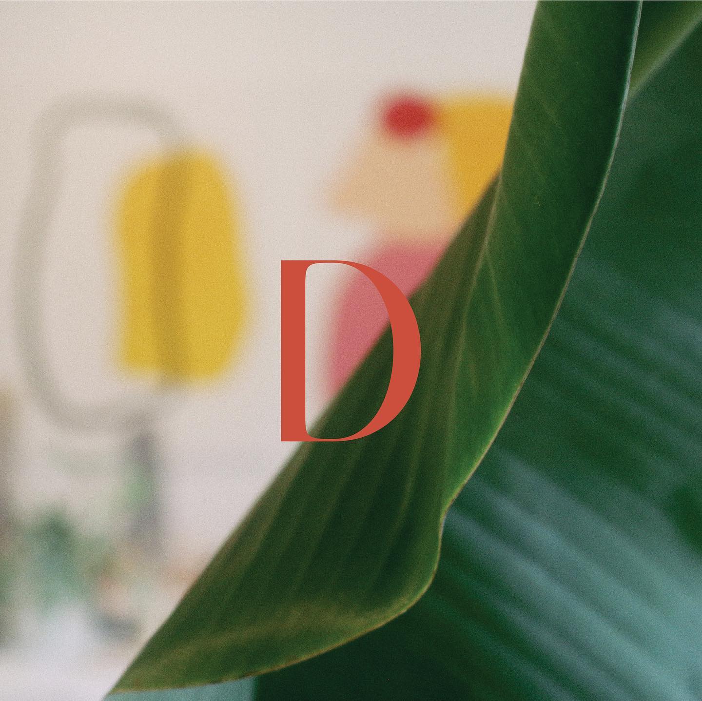 A little brand refresh for the studio that I’ve been working on 🧡❤️