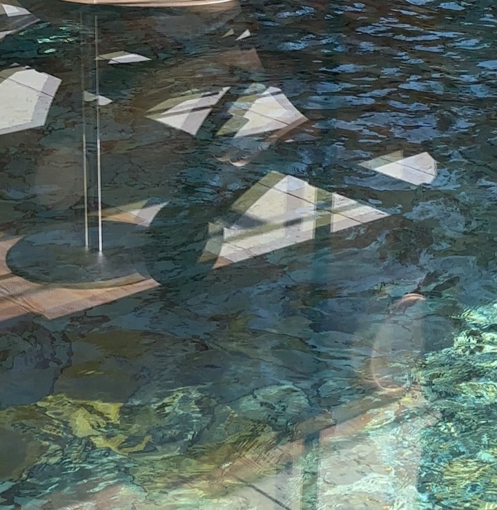 sun in pisces reflections 🪞