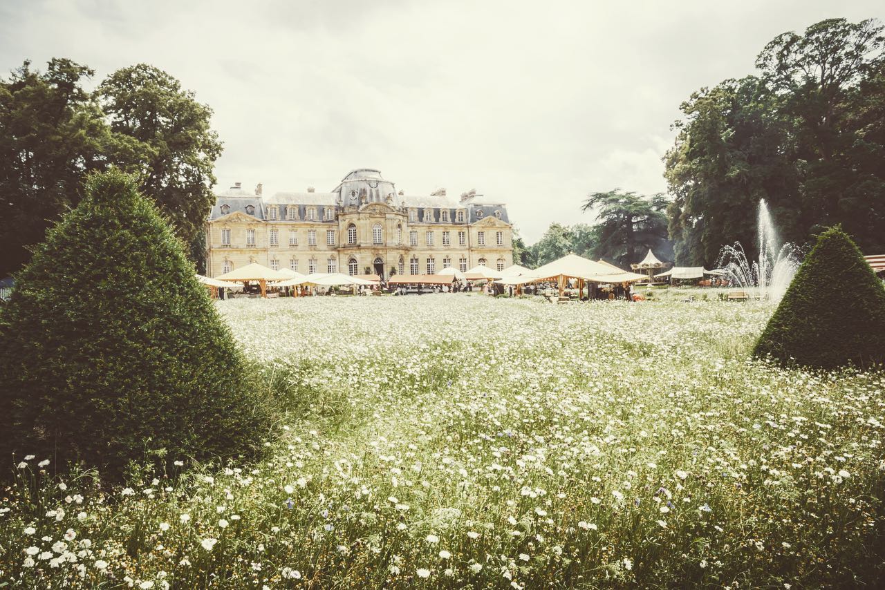 Day wedding party 🌼🎪🌳