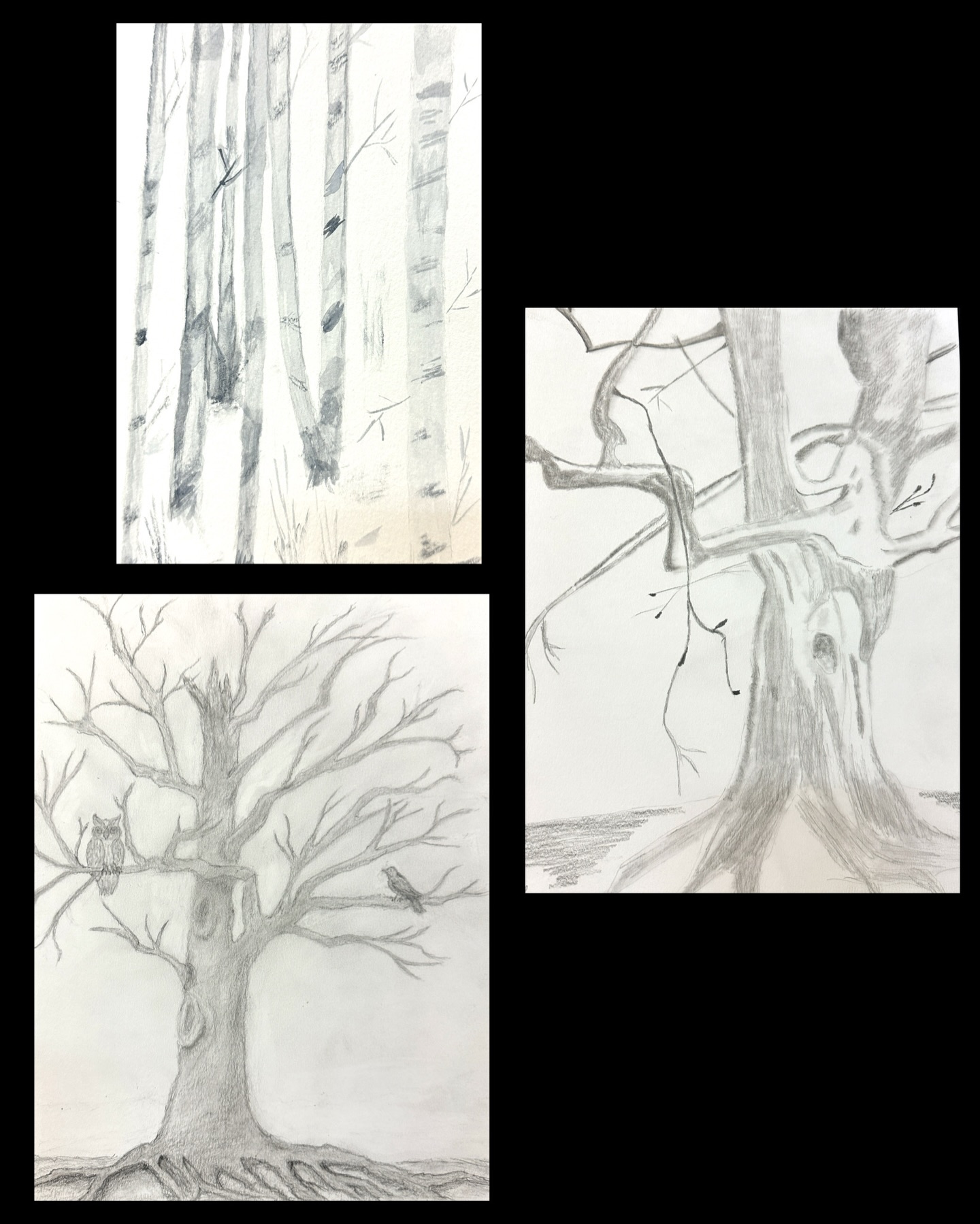 Trees by my Adult art class! With a strong focus on observation, layers and texture artists worked in graphite, ink and watercolor. Each artist created several pieces making a cohesive series. I am so proud of everyone’s progress! Stay tuned for many more photos!
#arteducation drawingclasses morriscountynj womanowned #penandink morriscountyart #adultartclass newjerseyarts morrisarts supportsmallbusiness @denvillecitylifestyle @njartassociation