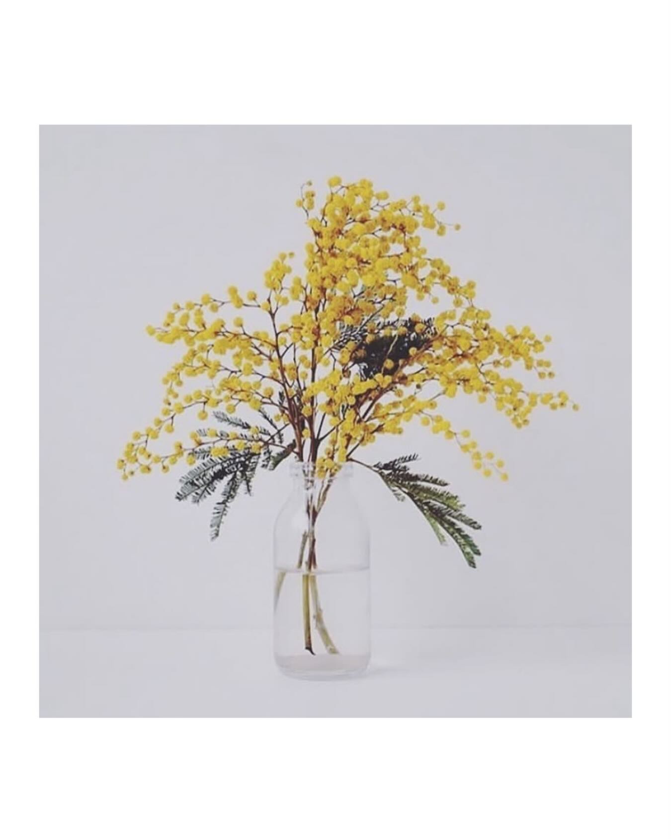 LIVETS SKOLE: Kontrol som overlevelsesstrategi…
Kontrol handler ikke kun om at at have behov for at styre andre. Der findes en også en mere indadvent kontrolfunktion, hvor selvbeskyttelse (og ikke dominans) er den ledende faktor.
Den handler om uroen omkring at miste sig selv i en relation, hvilket kan føre til en øget kontrol omkring den andens adfærd.
Det betyder at du forsøger at regne den andens handlinger og adfærd ud, og på den måde være på forkant med eventuelle begivenheder, der ellers nemt kan hvirvle dig ind i et spil, hvor du mister dig selv.
Man begynder simpelthen at analysere den anden:
Hvad mente han?
Hvorfor skrev hun sådan?
Hvad betyder den tone?
Det er næsten lige så opslidende - konstant at være obs på andre menneskers adfærd (i kontrol) som det er at miste sig selv til relationen. Så findes der mon ikke en vej ud?
Der findes faktisk en tredje mulighed:
At blive hjemme i dig selv og din krop og tag ejerskab over, hvad du vil udsætte dig selv for og ikke…
Det er den feminine form for grænse, som du lærer at sætte her. Den handler ikke om afstand, ikke om at nedtone samværet, eller helt at afvise andre.
Det er - helt ærligt - ret svært at praktisere i starten. For det at forsøge at kontrollere andre menneskers adfærd er sikkert en overlevelsesstrategi, du har gjort brug af i evigheder.
Jeg falder ofte selv i den fælde, at jeg jo interesserer mig vældig meget for psykologi og analyse - at den undskyldning retfærdigør min handling. Her er det godt for mig at spørge mig selv om “studiet” er er relevant for mit professionelle virke, eller om jeg forsøger at være i kontrol.
Hermed en kærlig opfordring til at kigge dit eget kontrolbehov efter i sømmene…
Kærligst,
Pernille💛
______________________________________
#livetsskole
#grænser
#indrenavigation
#overgang
#selvudvikling