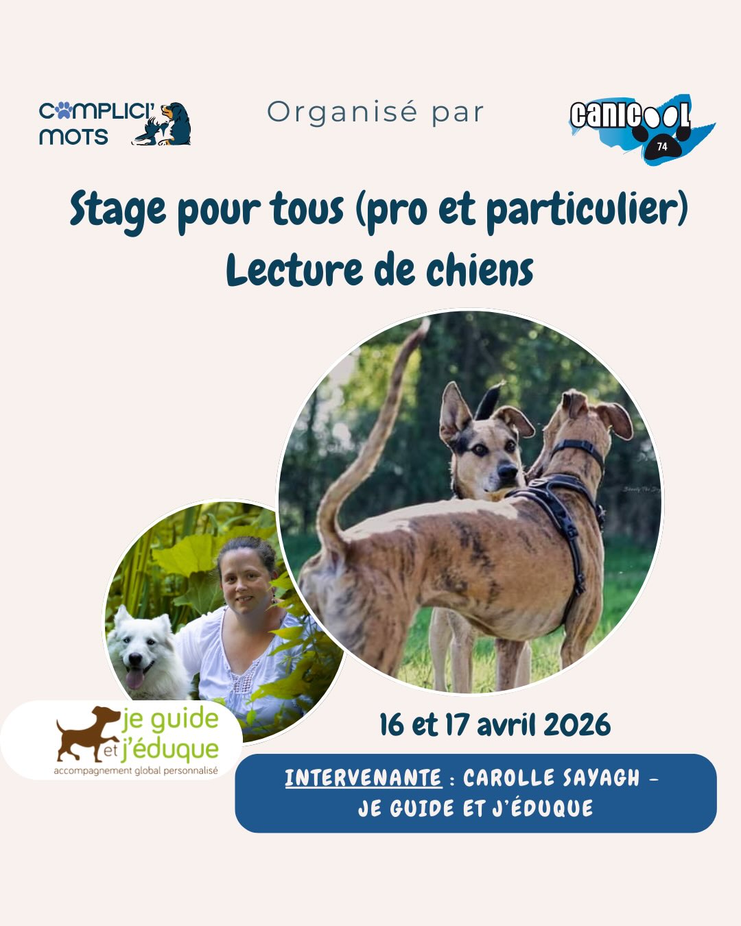 🐾 Tu aimerais vraiment comprendre ce que dit ton chien ?
Pas juste deviner. Vraiment lire ce qu’il exprime, ce qu’il ressent, ce dont il a besoin.
C’est exactement ce qu’on va vivre ensemble les 16 & 17 avril à Poisy (74), lors d’un stage terrain sur la lecture du chien— en plein air, avec ton chien, dans des rencontres en temps réels .
Ce stage est pour toi si :
🐕 Tu es particulier ou professionnel canin
👀 Tu veux comprendre le langage de ton chien
🤝 Tu cherches un lien plus authentique avec lui
Deux jours pour observer, comprendre et agir autrement. Théorie et pratique mêlées, tout en extérieur — parce que c’est sur le terrain que ça se passe vraiment.
📍 Poisy (74)
💰 210 €
👥 12 places max
🎁 190 € pour les fidèles de nos stages
👉 Toutes les infos et inscription via le lien en bio ! ✉️ stagecanin74@gmail.com
Avec @je_guide_jeduque et @emilie.complicimots 🐾 soutenu par @wouffissime