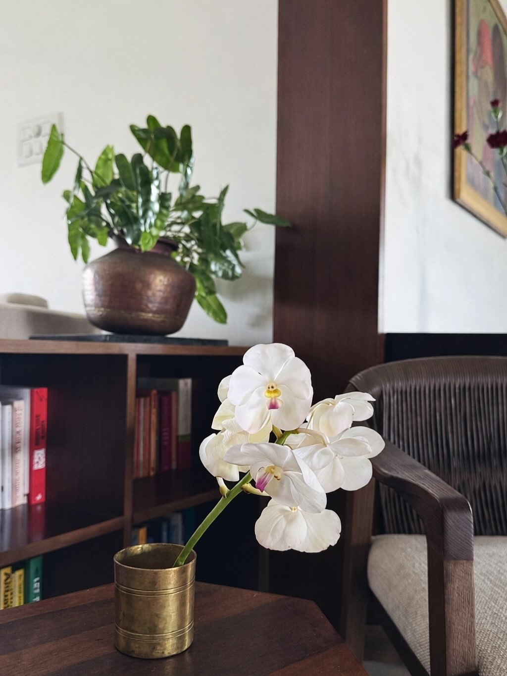 Recreate this mood 📚
A filter coffee tumbler,
a single orchid stem placed on a flower frog,
and shelves full of books.
We’re sure this little corner will lure you in to sit down with your coffee, a good book, and the orchid stealing the show. ✨