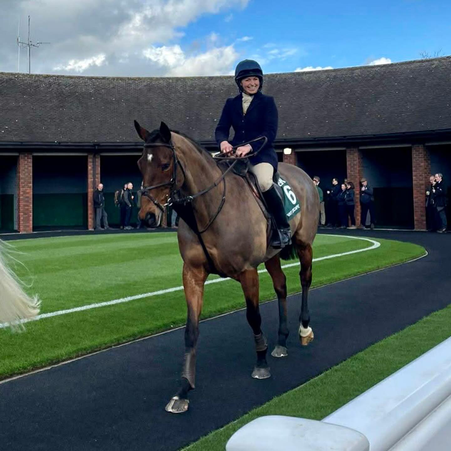 Lovely to see Elegant Escape parading at Cheltenham on Tuesday. He looks an absolute picture and enjoying his new home with Lilly 🏡