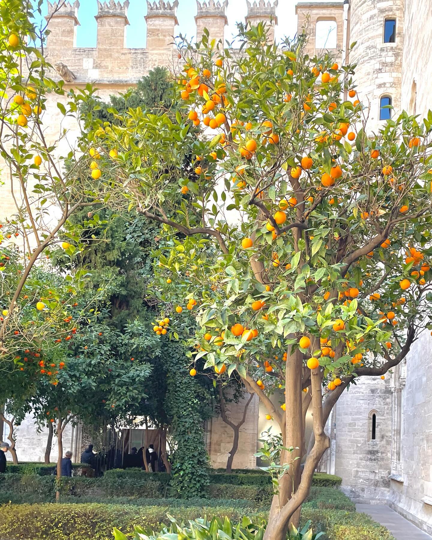 Living vicariously through Betsy’s camera roll.
Can you guess what she was up to in Spain?