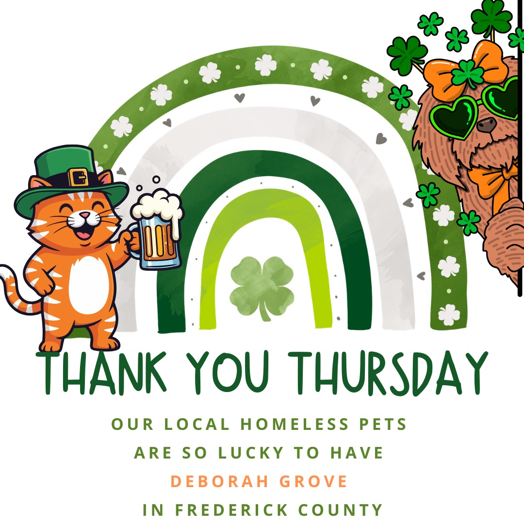 This Thank You Thursday we thank Deborah Grove for her incredibly generous donation to Frederick Friends of Our County Animal Shelter and other local animal organizations in our area. We could not complete our missions for @fredcoanimalshelter below without our donors!
-Providing the resources to treat and rehabilitate shelter pets with medical or behavioral needs;
-Enabling the enrichment of the shelter environment to minimize stress for shelter pets;
-Recruiting volunteers, adopters, foster care providers, and rescue partners for hard-to-place animals;
-Rescuing and finding adoptive homes for special needs felines for whom the shelter cannot provide adequate care; and
-Keeping pets out of the shelter by helping families keep or safely rehome their pet
Thank you!
#thankyou #thankyouthursday #thankssomuch #thankyou #grateful #verygrateful #localpets #thankyouthursday #petsarefaimily #homelesspets #shelterpets #fosterpets #savingpets #donors