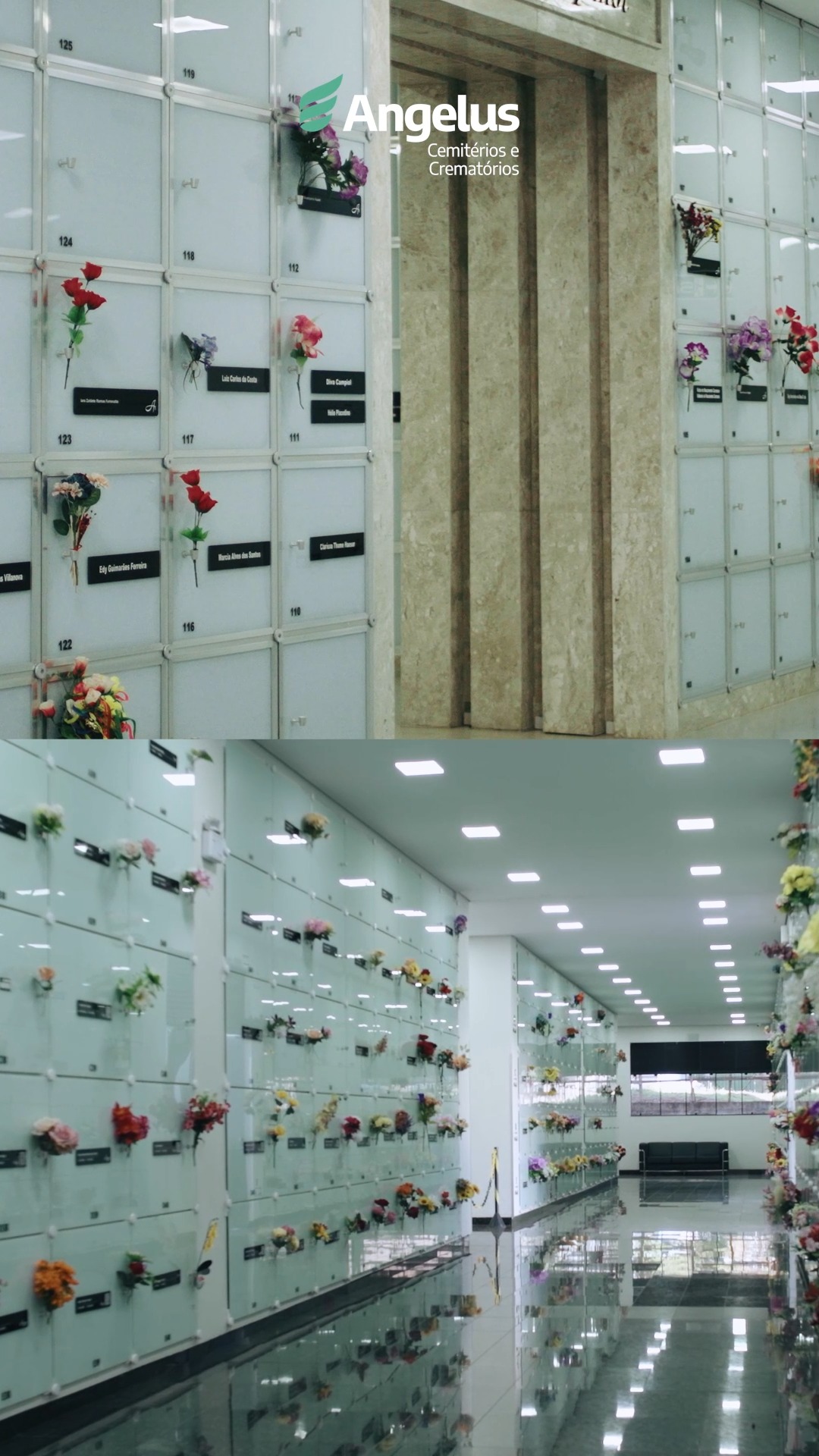 Você já conhece os nossos cemitérios verticais? 🏢🌿
Essas estruturas foram pensadas para oferecer tranquilidade e conforto, proporcionando um ambiente ideal para homenagens dignas e respeitosas.
Neles, cada detalhe preserva e valoriza histórias de entes queridos que jamais serão esquecidos. As unidades ficam localizadas em:
📍 Maringá/PR
📍 Porto Alegre/RS
Se quiser saber mais, é só acessar nosso site 👇
angelussul.com.br
#Angelus #CemitérioVertical #Estruturas #Serenidade
