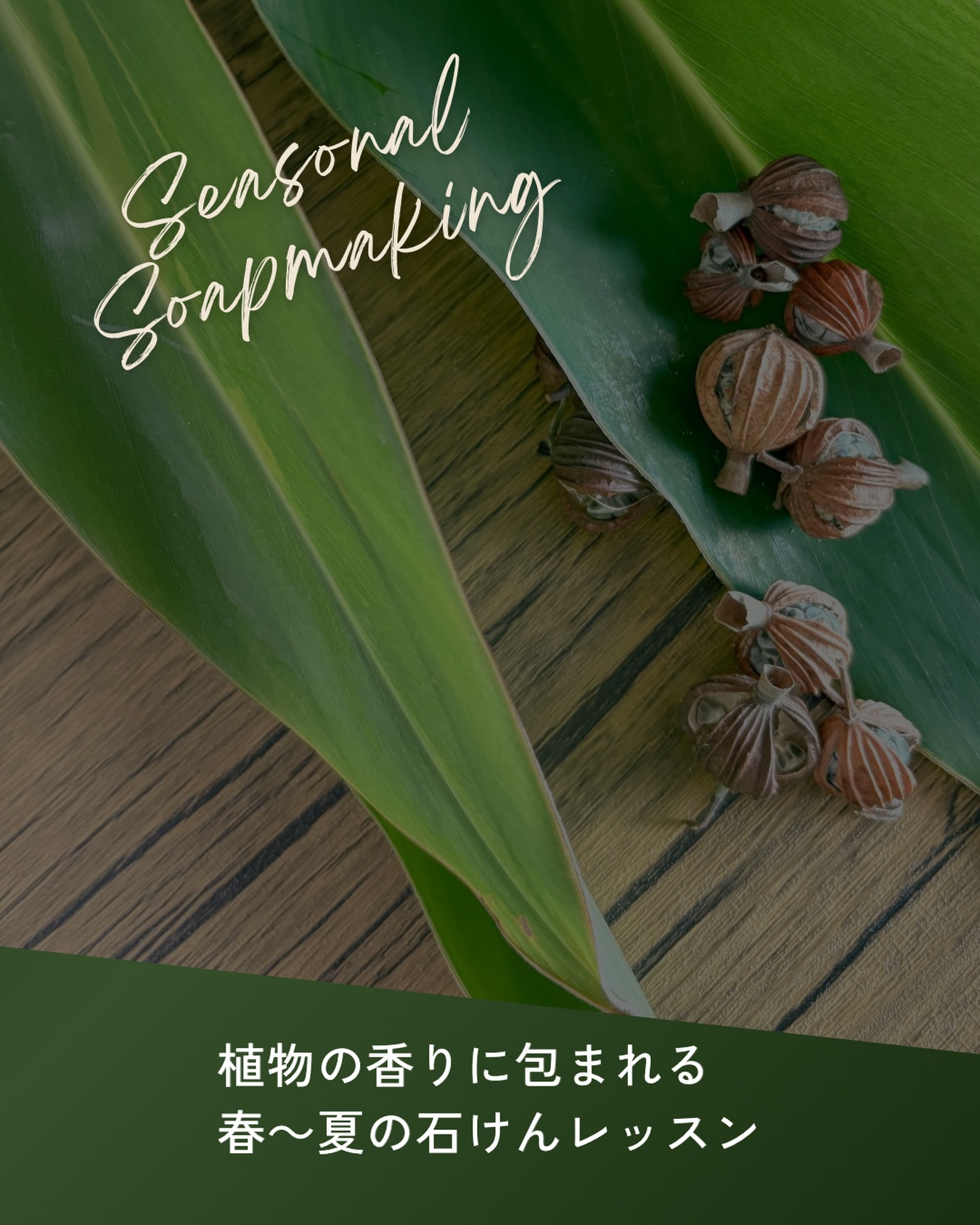 【2026年4月〜7月|
Seasonal Soapmaking ご案内】
春〜夏の石けんレッスンの
ご案内です。
植物の香りに包まれる4ヶ月、
ご一緒しませんか?
SOSO薬草と香りの教室では、
4ヶ月に渡って手作り石けんの講座「Seasonal Soapmaking
(シーズナルソープメイキング)」を
開催します。
香りに癒されながら手を動かす、
石けんづくりを通して
ふっと心がゆるむ瞬間──
それは忙しい日常の暮らしの中に
“深呼吸”を取り戻すような時間に。
出来上がった石けんは、
自分だけでなく、
家族や大切な人にも喜ばれます。
暮らしのなかに
小さな循環が生まれていきます。
|レッスン内容
4月|月桃の石けん
・ゆらぎ肌を整える。
ポリフェノールたっぷりの
月桃で春の敏感な肌に潤いと活力を
5月|アロエの石けん
・紫外線が強まり始める時期、
アロエの保湿力で、
みずみずしい素肌をキープ
6月|ラベンダーの石けん
・心と肌の鎮静。
梅雨のじめじめを吹き飛ばす
清々しい香りと、
肌荒れを防ぐ石けん
7月|アロマリキッドソープ
・夏を軽やかに、
植物の香りを贅沢に閉じ込めて、
リキッド(液体)で使いやすく
⸻
素材と香りを楽しみながら、
日常をほんの少し特別にしてくれる石けん。
一緒につくってみませんか?
4回を通して、
石けんの世界を
深めていく流れになっていますが、
単発でのご参加もOKです。
ご都合や気になる回に合わせて、
お気軽にご参加くださいね。
⸻
|開催概要
日程(各月のうち、
いずれか1日をお選びください)
4月| 8. 9. 11. 14
5月| 9. 12. 13. 14
6月| 9. 10. 11. 13
7月| 8. 9. 11. 14
時間|13:00〜15:00(全日共通)
会場|
水曜・木曜クラス|浦和駅周辺のラウンジ
火曜・土曜クラス|東浦和「薬草と香りの教室」
参加費|
4回コース(4〜7月)
:24,000円(税込)
→ 単発より2,000円お得になります
単発参加(1回)
:6,500円(税込)
定員|
各回4名程度の少人数制
|持ち物
エプロン・筆記用具
・石けん持ち帰り用のバッグ
(詳しくはお申し込み後にご案内します)
|レッスン後のお楽しみ
ハーブティーを囲んで、
ゆったりティータイム。
香りや石けんのお話もしながら、
ほっとひと息つきましょう。
香りと石けんづくりで
「心を整える」暮らしへ
ご予約・お問合せはお気軽にどうぞ。
@megumikiba
みなさまにお会いできるのを
楽しみにしています。