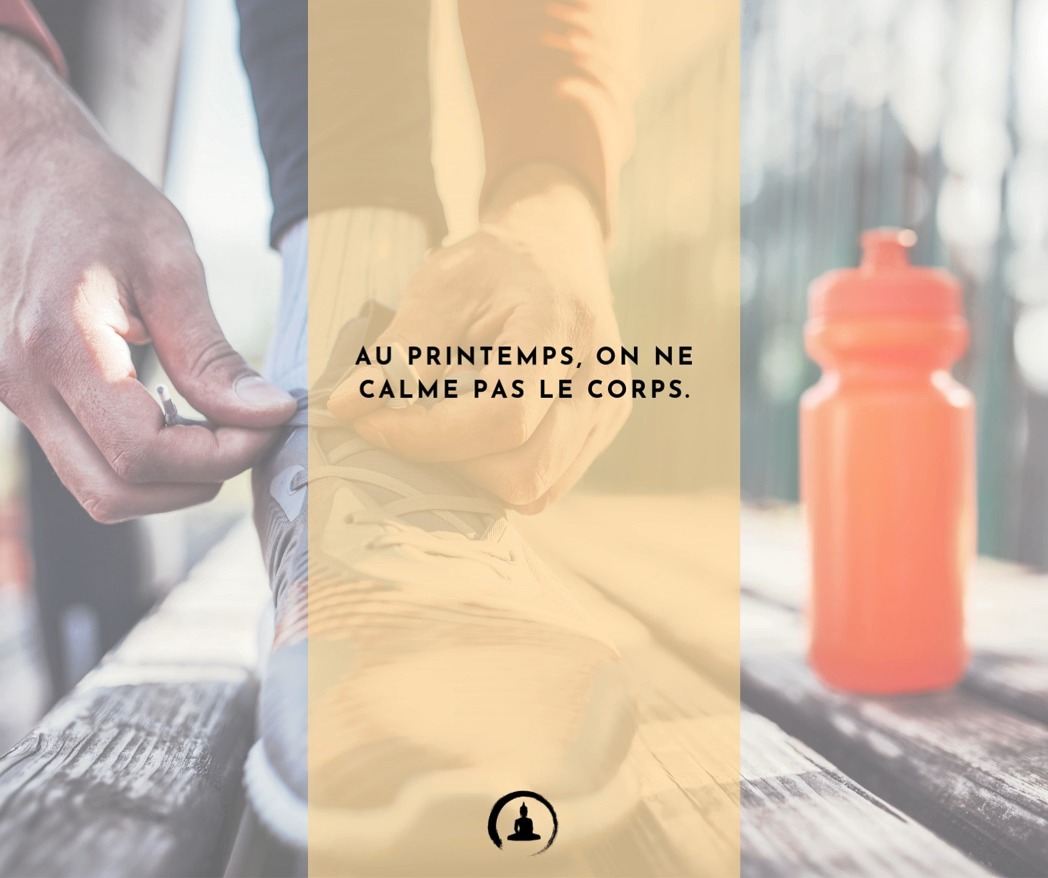 « Au printemps, on ne calme pas le corps. »
« Le corps sort de l’hiver chargé, comprimé, ralenti.�Le printemps demande une chose :�remettre l’énergie en circulation.
Pas par le relâchement.�Par une tension continue qui ouvre les voies. »
TEMPO�
👉 2 · 0 · 1 · 0�
Montée lente.
Pas de pause.�
Descente franche.�
Pas d’arrêt.
« Ce n’est pas de la violence.�C’est de la cohérence saisonnière. »
https://www.cabinet-zengarden.org/programmes