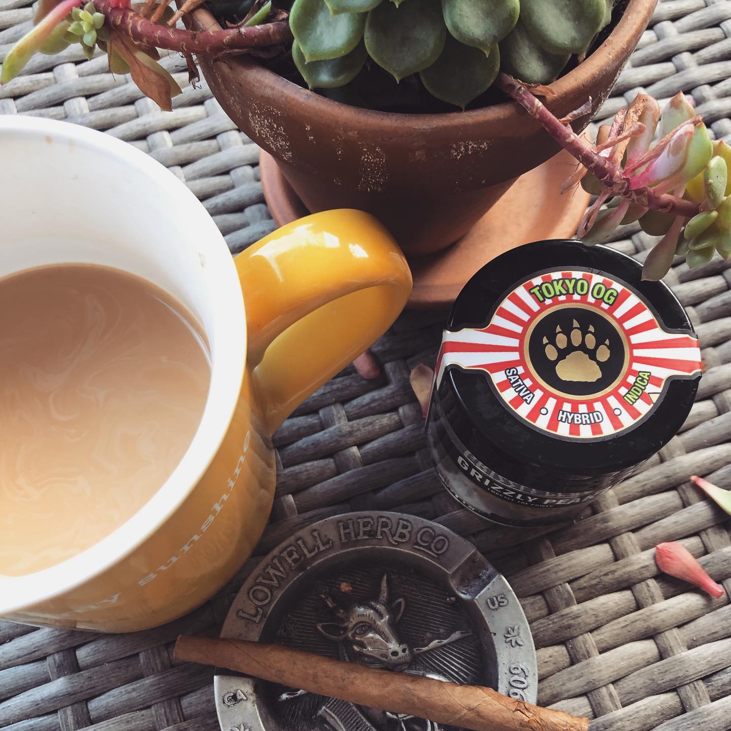 I couldn’t think of a better way to start my Friday 🙃 y’all know I love my @grizzlypeakofficial I have to say, their Chun Li OG really has my heart, however it’s suuuuper sedative, whereas this Tokyo OG is soooo floaty on the body more like a wedding cake! It’s basically an OG KUSH lineage. I love how relaxing and at ease it makes me feel, the experience also lasts noticeably longer than most for me. Super nice for a relaxing & creative day high 🥰 #grizzlypeakfarms #tokyoog #relax #lowellsmokes #fridayhighday #lineage #cannabis #cannagirl #stayblunted #coffeeandcannabis #youaremysunshine #themarijuanamedium