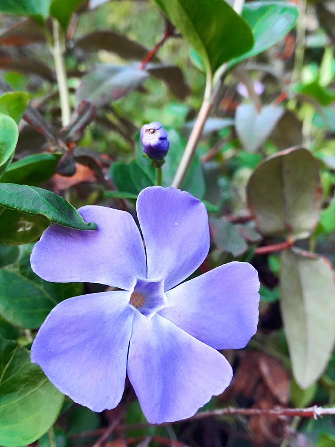 • FOCUS •
Oui quand je regarde que je suis toujours locataire et que je ne construis pas de sécurité financière pour l’avenir, j’angoisse.
Oui quand je passe devant mon espace de création sans pouvoir m’y arrêter car je dois aller à l’école, je me sens extrêmement frustrée.
Oui quand je m’inquiète sur ma vie amoureuse, je tombe encore souvent dans la nostalgie et la culpabilité.
Et comme à chaque fois que je tombe dans ces énergies là, j’essaie de mettre mon focus sur ce qui va bien et alors tout s’allège pour faire face aux difficultés.
Je me sens alors si chanceuse d’être entourée de tellement d’amour.
Ce soir, pendant notre câlin pour se souhaiter une bonne nuit, Antoine nous a offert ses « je t’aime maman, je t’aime Champa » qui me font fondre. 🫠
Cette après-midi, j’étais émue de voir sa main dans celle de ses arrières grands-parents. 🫶🏼
Ce matin, nous étions entre amies pour un cours de yoga au @chrysalide_lecafedesenfants avec nos enfants puis nous avons partagé un bon repas. 🧘🏼♀️🧘🏻♀️🧘🏻♀️🧘🏼♀️🧘🏼♀️ 🥗Mardi, les sourires chaleureux des filles de la crèche le matin, le bilan enthousiaste de fin de journée puis une soirée avec une ancienne collègue de travail devenue amie. Trop chouette de voir nos garçons rire ensemble.
Lundi, la journée a commencé par un appel avec ma soeur de coeur, une séance avec mon gentil kiné dans une salle adaptée aux enfants. Puis après une longue sieste avec mon fils, nous sommes allés goûter chez mon parrain et ma marraine pour terminer ensuite la journée avec un délicieux potage comme elle sait si bien les faire.
Ce weekend on était avec ma maman : à la ferme pour s’occuper des animaux, sur le tracteur bleu du voisin dont Antoine parle chaque jour depuis !
On a beaucoup ri et ça fait un bien fou.
On a aussi retrouvé les vidéos de mon mariage et tous les magnets de frigos que je ramenais de nos voyages.
Ça m’a remué bien évidemment car tous ces bonheurs passés n’existent plus que dans les souvenirs mais ça me rappelle combien il est fondamental de chérir ce qui est là quand il est encore temps.
Alors je me focus sur tout ce qui me comble et je trouve la force de continuer à réfléchir au reste. 🌸