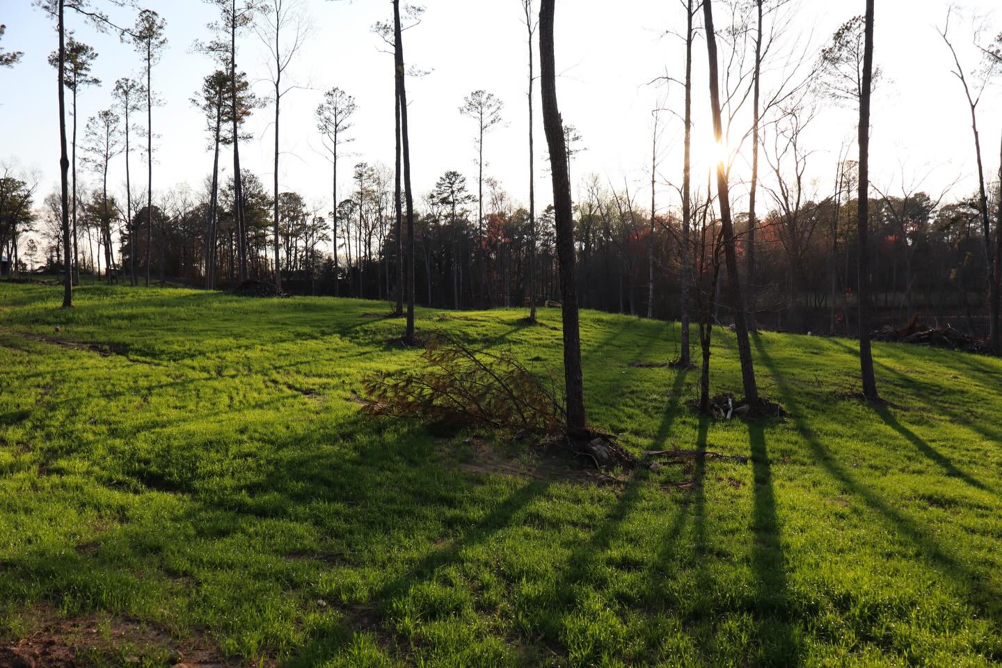 A warm March is bringing us beautiful growing pastures!