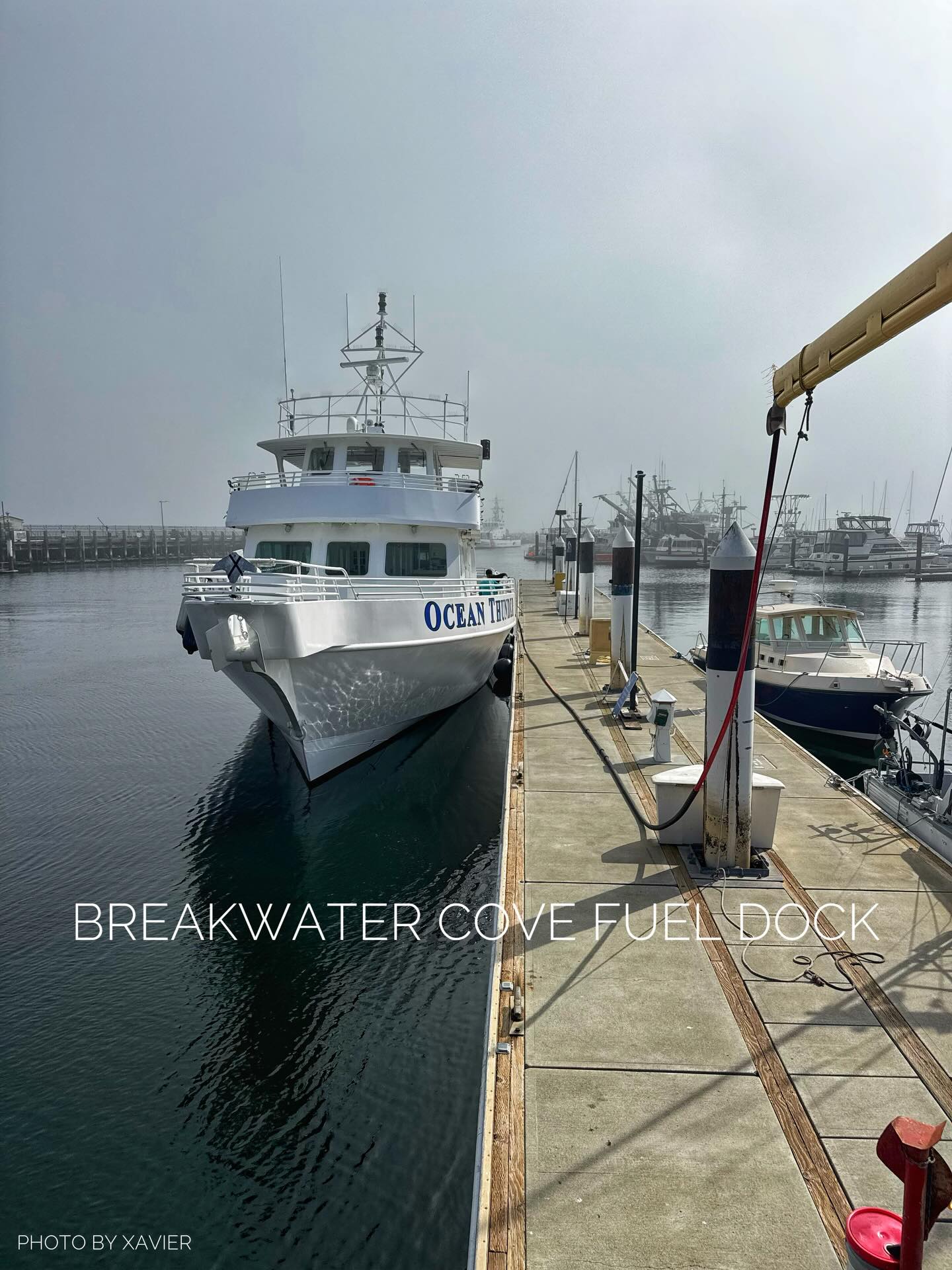 Don’t let the fog deter you, we’re open!
#Boatworks #Breakwater #FuelDock #Boats #Monterey