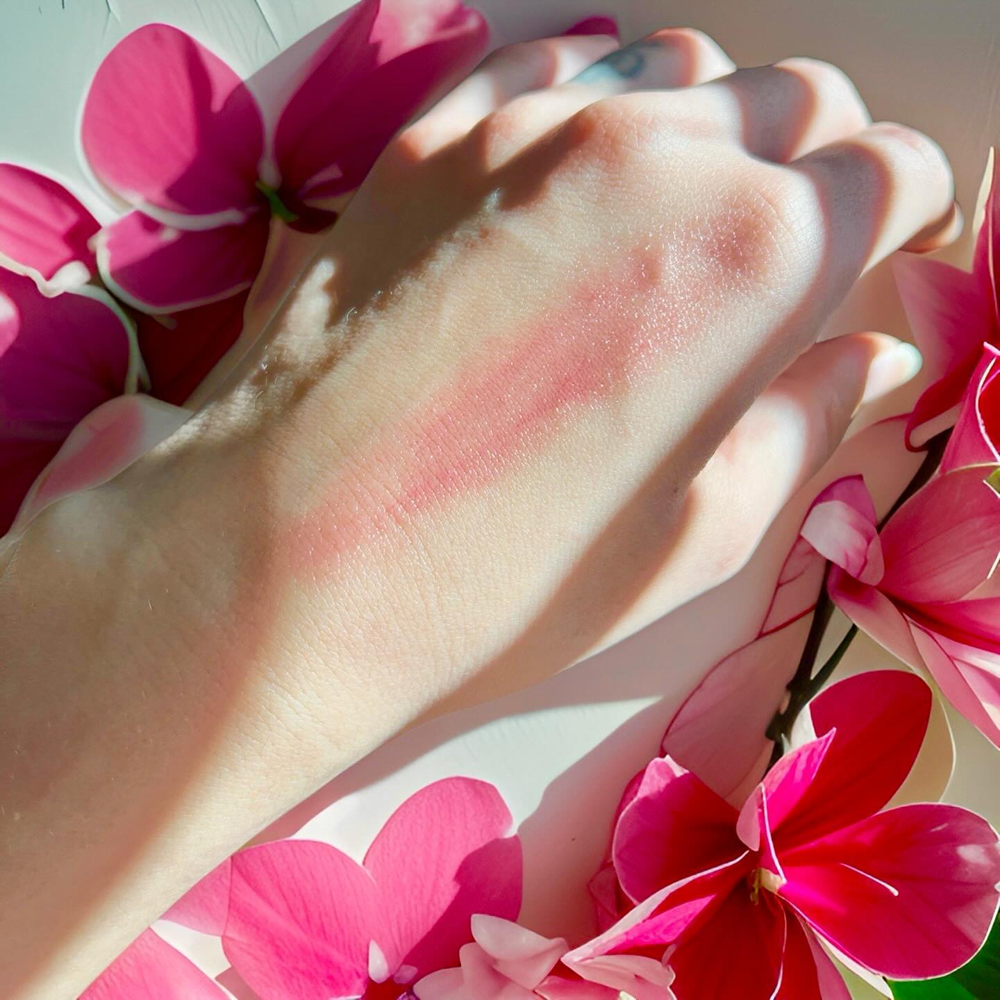 Kulay Rosas tinted lip balm swatch. 🩷 Fun fact: Kulay Rosas means color pink in Tagalog. 🇵🇭 Link for store in bio 💋
•
•
#filipinoownedbusiness #americanfilipino #smallbiz #rilambeauti #tintedlipbalm #homemadelipbalm #ecofriendlyproducts🌿 #ecofriendlymakeup #organicmangobutter #supportsmallbusiness