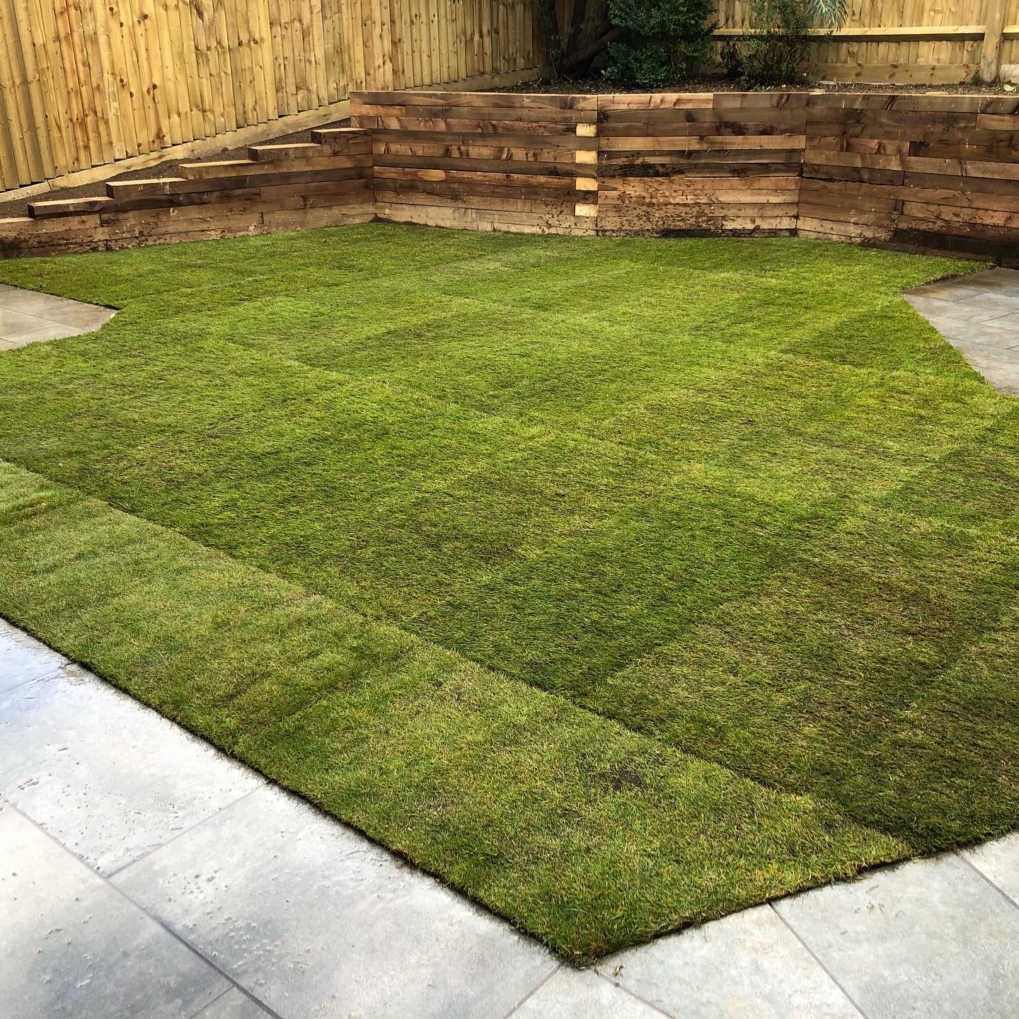 From what resembled a pond to new lawn in a day and a half!