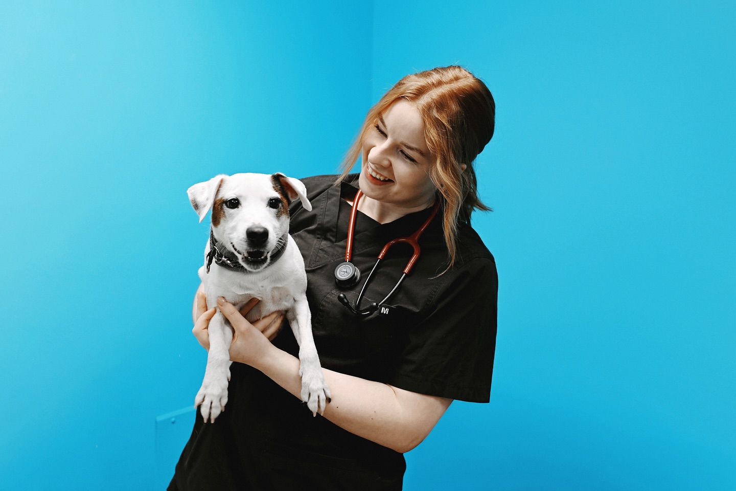 𝗧𝗲𝗿𝘃𝗲𝘁𝘂𝗹𝗼𝗮 𝗟𝗶𝗹𝗹𝘃𝗲𝘁 𝗦𝗲𝗶𝗻ä𝗷𝗼𝗲𝗻 𝘁𝗶𝗶𝗺𝗶𝗶𝗻 𝗲𝗹ä𝗶𝗻𝗹ää𝗸ä𝗿𝗶 𝗔𝗻𝗻𝗮! 🩵
Anna on valmistunut eläinlääkäriksi Helsingin yliopiston eläinlääketieteellisestä tiedekunnasta vuonna 2023 ja valmistumisen jälkeen tehnyt kunnaneläinlääkärin töitä.
Anna ottaa potilaita vastaan Lillvetissä parina päivänä viikossa, sekä jatkaa edelleen päiväpraktiikkaa ja päivystyksiä myös Vaasan kaupungin pieneläinklinikalla.
Anna tekee mielellään perustoimenpiteiden lisäksi myös hammashoitoja sekä leikkauksia ja pyrkii aina siihen, että käynneille olisi helppo tulla ja ne olisi mahdollisimman rentoja niin lemmikille kuin omistajallekin!
Seinäjoen porukkaan voit tutustua lisää:
👉🏼 lillvet.fi/seinajoki
Ajan Annalle voit varata helposti:
👉🏼 lillvet.fi/ajanvaraus
LÄMPIMÄSTI TERVETULOA LILLVETIIN ANNA! 💛