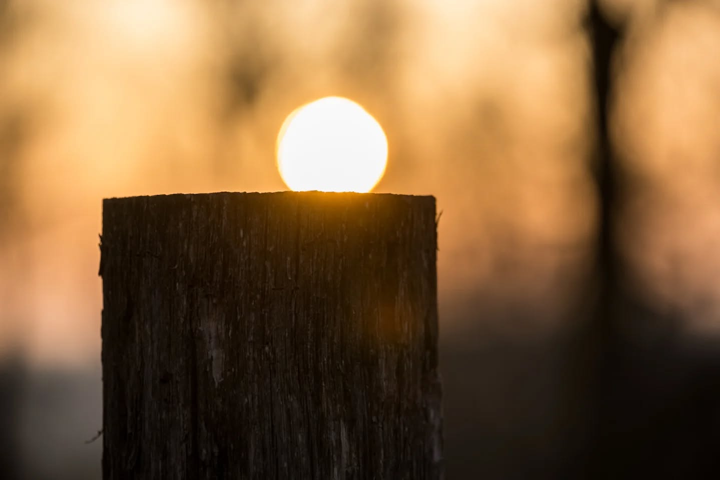 The sun rises.
#innature
#innaturephotos
#sunrise
#morning
#soluppgång