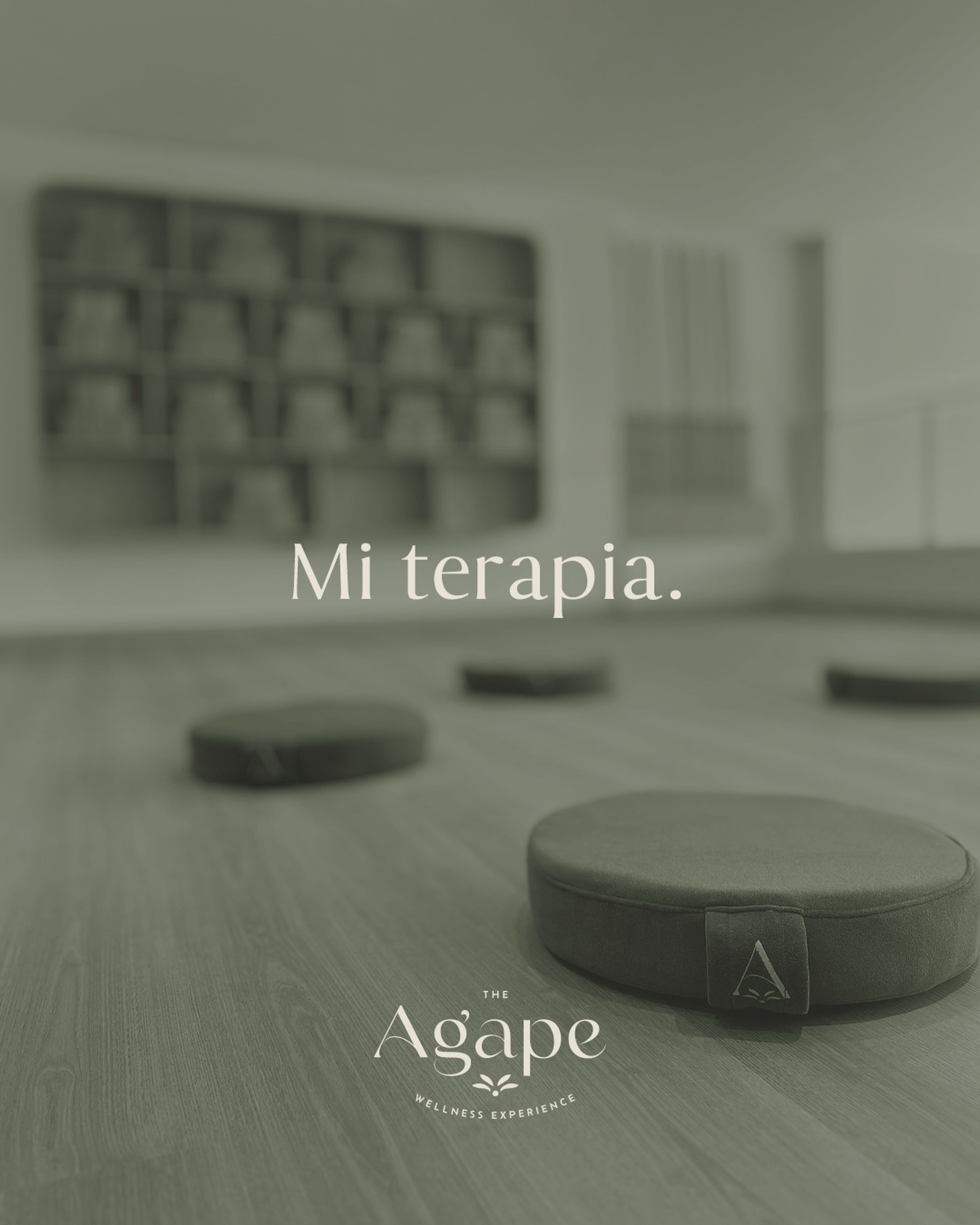 DÉJANOS SER TU REFUGIO
Ágape esta diseñado para poder ser tu lugar seguro. Un solo lugar en el que encuentras comunidad, prácticas de movimiento consciente, y comida saludable hecha en casa.
Consigue tu membresía hoy y déjanos ser tu refugio ✨