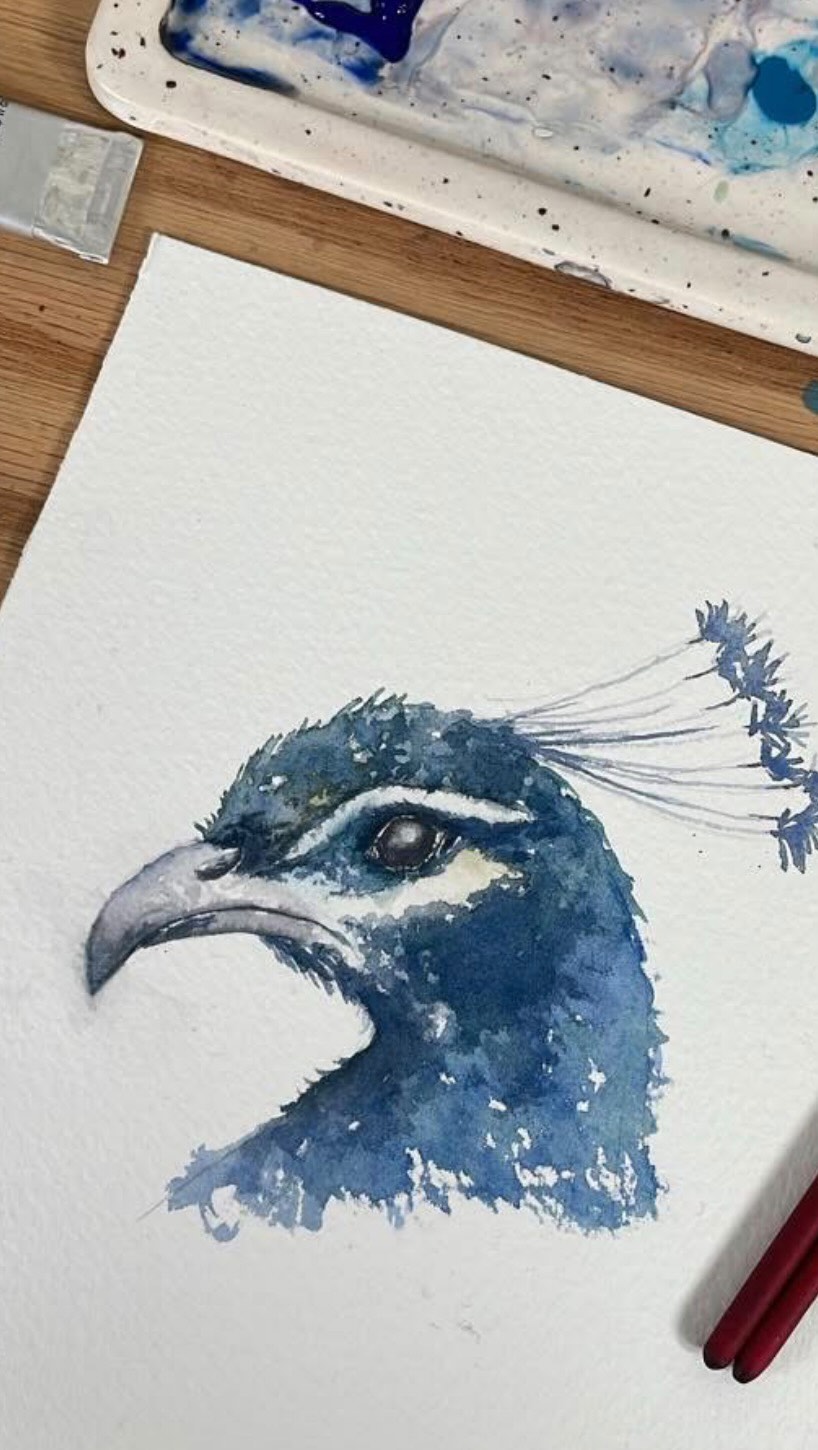 Watercolour Wednesday//Peacock.
.
The full slowed down version is available on my Patreon.
.
#artprocess #paintingvideo #ukartist #watercolourart #learningresources