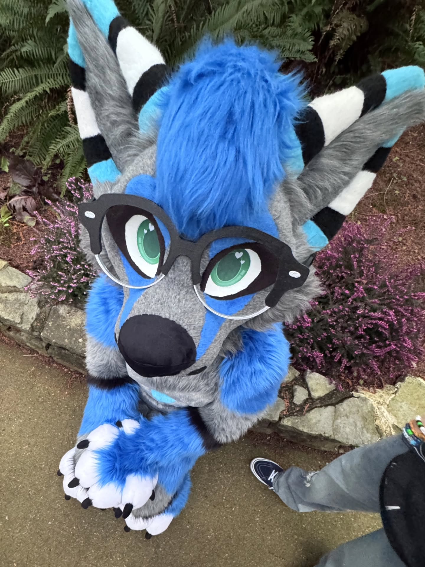 Nerdy barkies ππ
#Vancoufur was amazing!! I loved hosting for my friends and having an absolute blast, thank you everyone who came to say hi and took photos with me! @vancoufurcon did a fantastic job once again π«Ά
-
#furry #furries #furryfandom #furryconvention