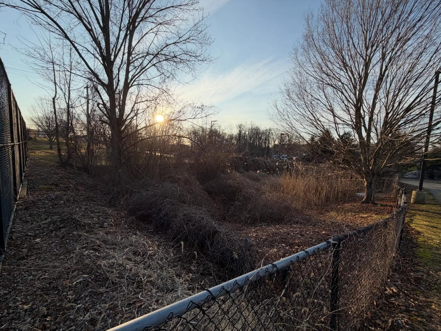 Retention pond clearing #willspropertymaintenance #wpm #avongrove #chestercounty #treeandlawncare