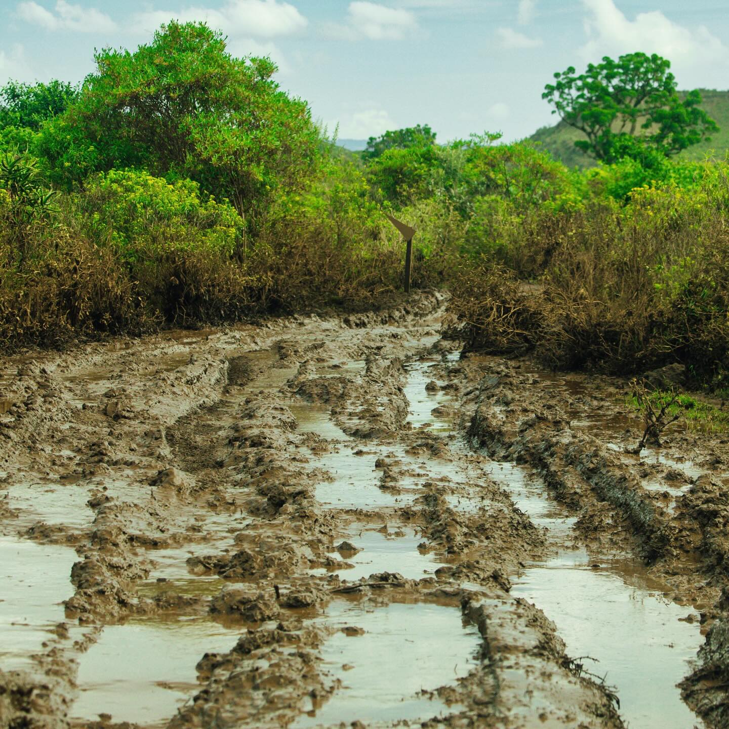 Stages look… very Safari 😅🦁
Recce’s shown plenty of mud and water, with some rough sections too, so it’s going to be a tough weekend 💦
Here it’s all about finding the balance: pushing when you can, looking after the car, and surviving the conditions!
As always, we have had an amazing welcome here in Kenya, looking forward to getting started tomorrow! 🇰🇪
#EE33 #SafariRallyKenya #ToyotaGAZOORacing