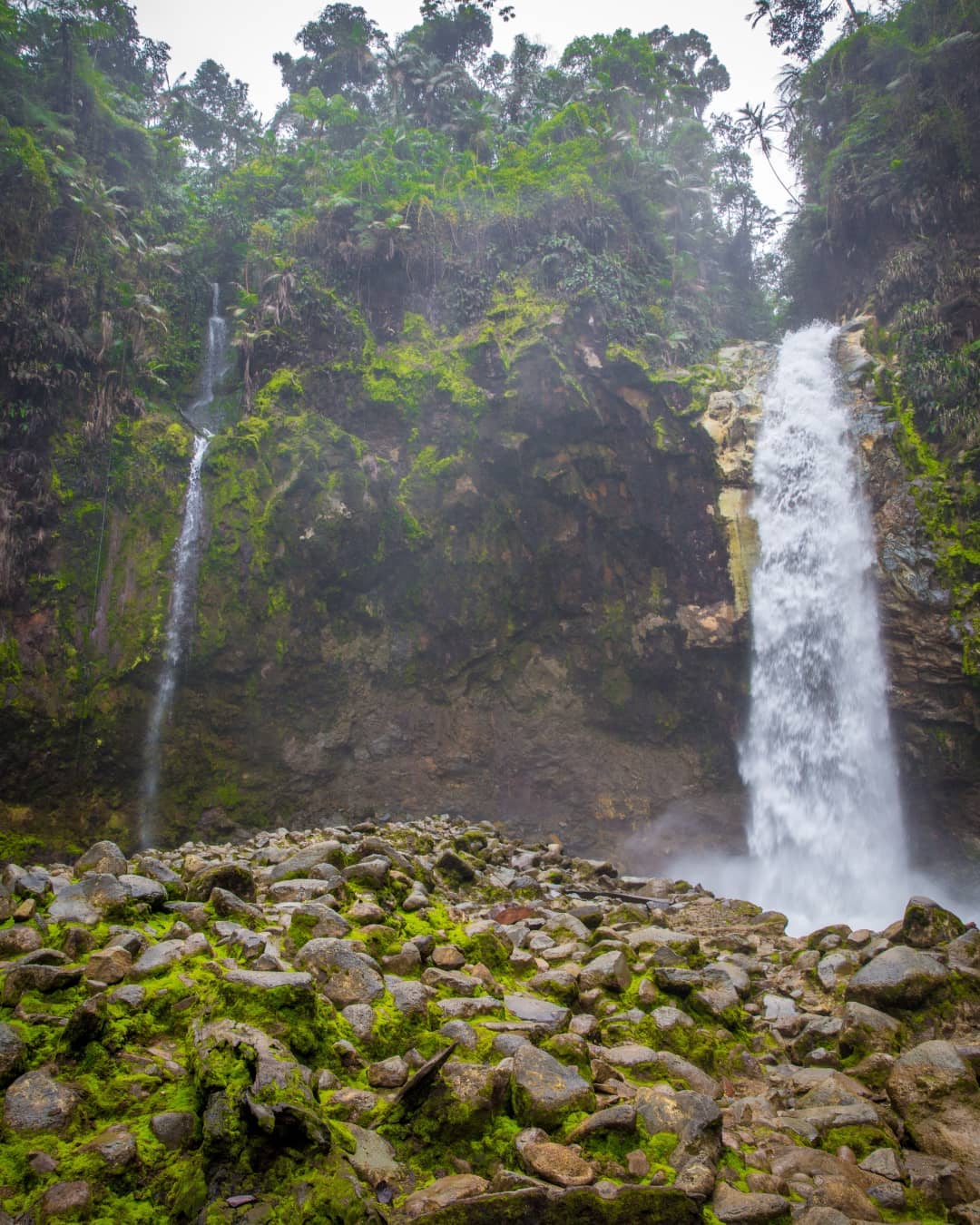 Did you know that Mangífera hostel is located close to a beautiful and off the beaten path waterfall paradise? In Bajos del Toro there are dozens of magical waterfalls and natural pools to discover!
These pictures only represent one of them: @rioagriowaterfall The hike towards this waterfall is fairly easy. They also offer a visit to @pozaceleste (2nd pic).
Come and stay with us and enjoy a day in Bajos del Toro!
#rioagriowaterfall #rioagrio #costaricacool #quebuenlugar #hikingtiquicia #mangiferahostel #bajosdeltoro #naturecostarica #hiddengem #greciacostarica #paradise #wanderlust #pozascelestes #naturalpool #travelcostarica