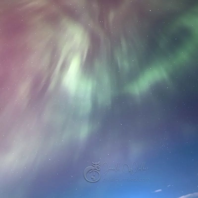 Later in the evening I had my head stuck out of the car window on the way home, not really being able to comprehend what I was seeing as I looked straight up into an aurora crown. The sky was shimmering as the light danced through the curtains.
.
.
.
.
.
.
.
.
.
.
.
.
.
.
.
.
#aurora #abchobart #abcmyphoto #southernlights #nightphotography #astrophotography #longexposure #raw_skies #tasmania #discovertasmania #autumntasmania24 #raw_australia #australia__downunder #raw_australia_nz #signatureshots #snapographers #exquisitepics20_australia #raw_community #nightsky #aussiephotos #world_photography_page #passion_4_living_photos #raw_community_member #instatasmania #mint_shotz #freshbreezeclub #amazingtasmania #hey_ihadtosnapthat2