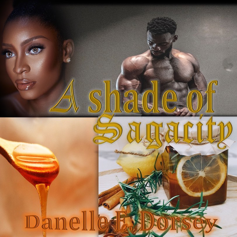 Book #1 in the Black Goddess Collection “A Shade of Sagacity” is the first short-story of the Collection of Black Futuristic Folktale Goddesses. The story is about a future society of monarchy that values their women. The second to the youngest Princess of the King’s children is now old enough to find herself a husband. She is distressed by who is worthy, as she must wade through a multitude of men, in finding who she thinks will be best suited for her. An army man, who is cursed with an old soul, and instills his wisdom, into a young relative. And…like always, Arava’s Grandmother has come with recommendations.
Release: Spring 2021