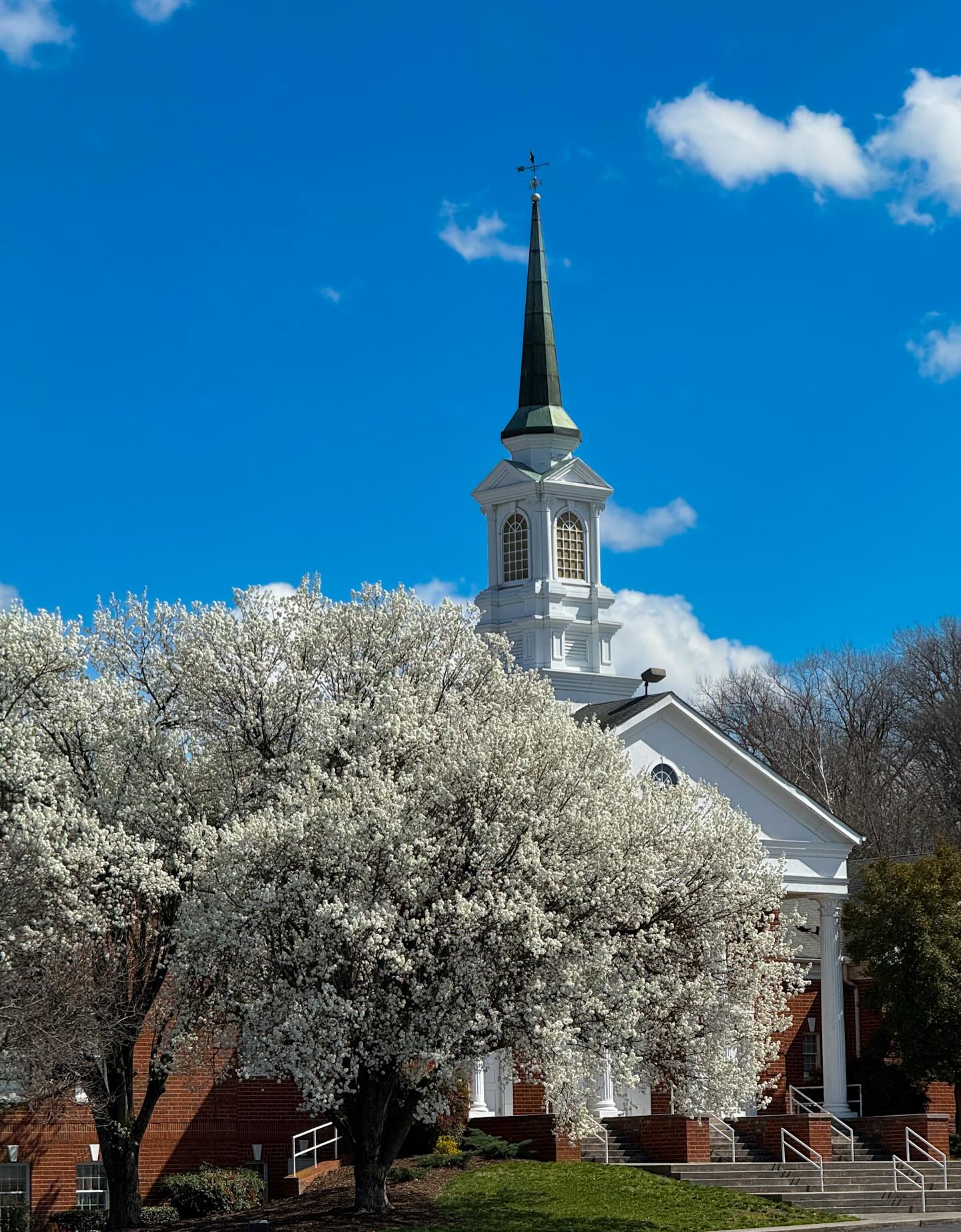 It’s that time when those terrible trees are showing off!