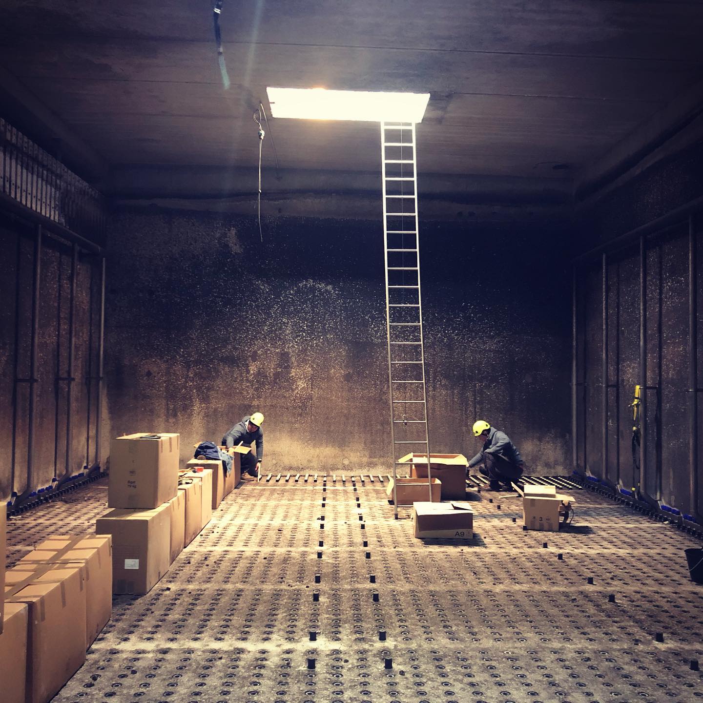 Palm environnement, installation des équipements de diffusion sur Annecy #busedediffusion #tabuse😜 #décorderêve #didiergemignaniphotographe